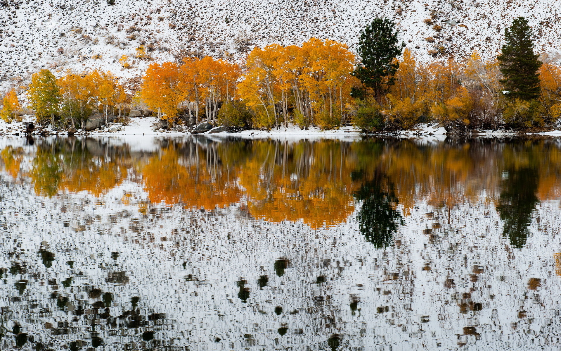 refections, 1080P, California, Fall Snow, Bishop Creek, HD Wallpaper