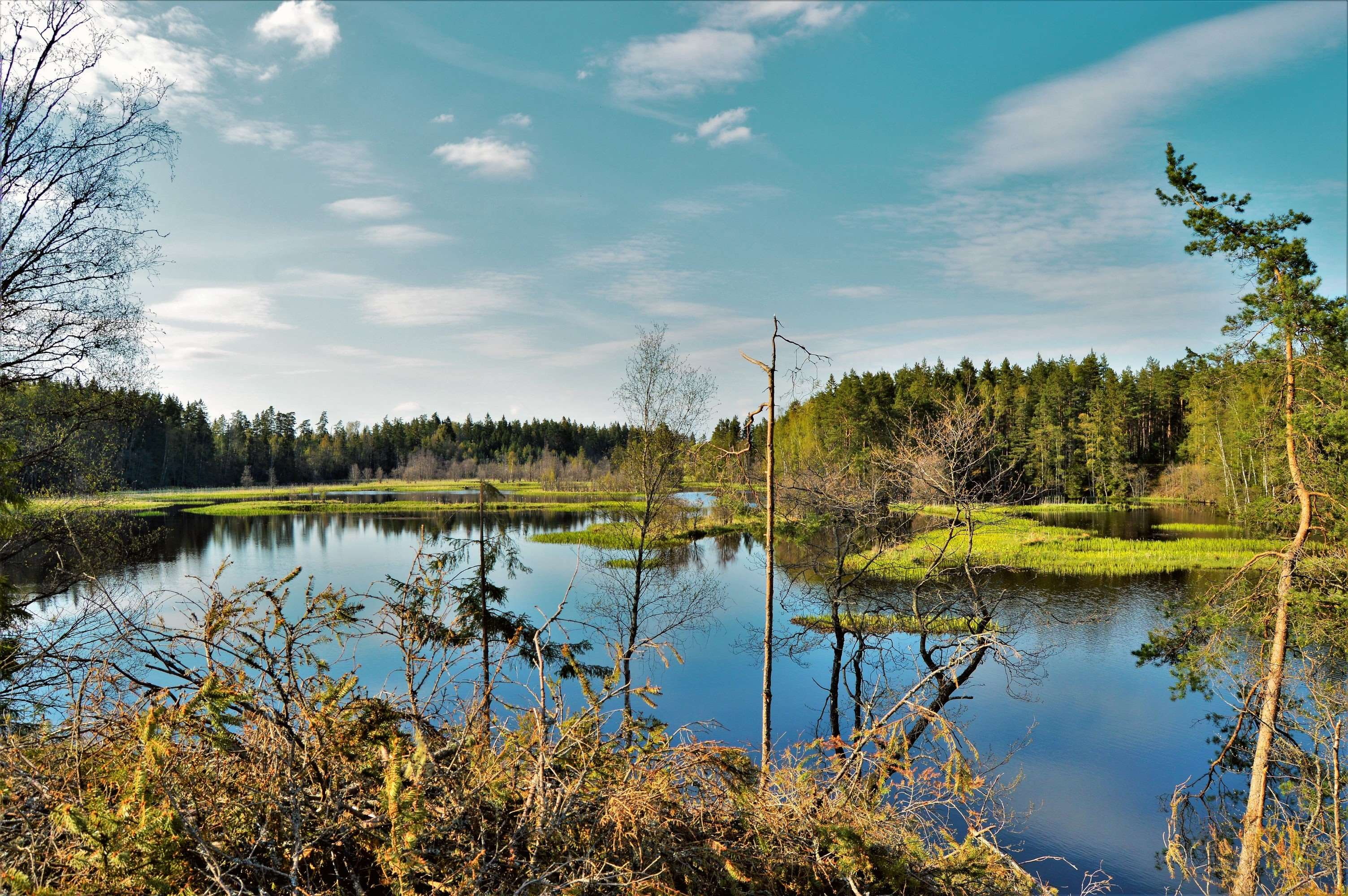 scenics - nature, tranquil scene, sweden, daytime, day, refection, beauty in nature, no people, reflection, nature, landscape, trees, tranquility, cloud - sky, HD Wallpaper