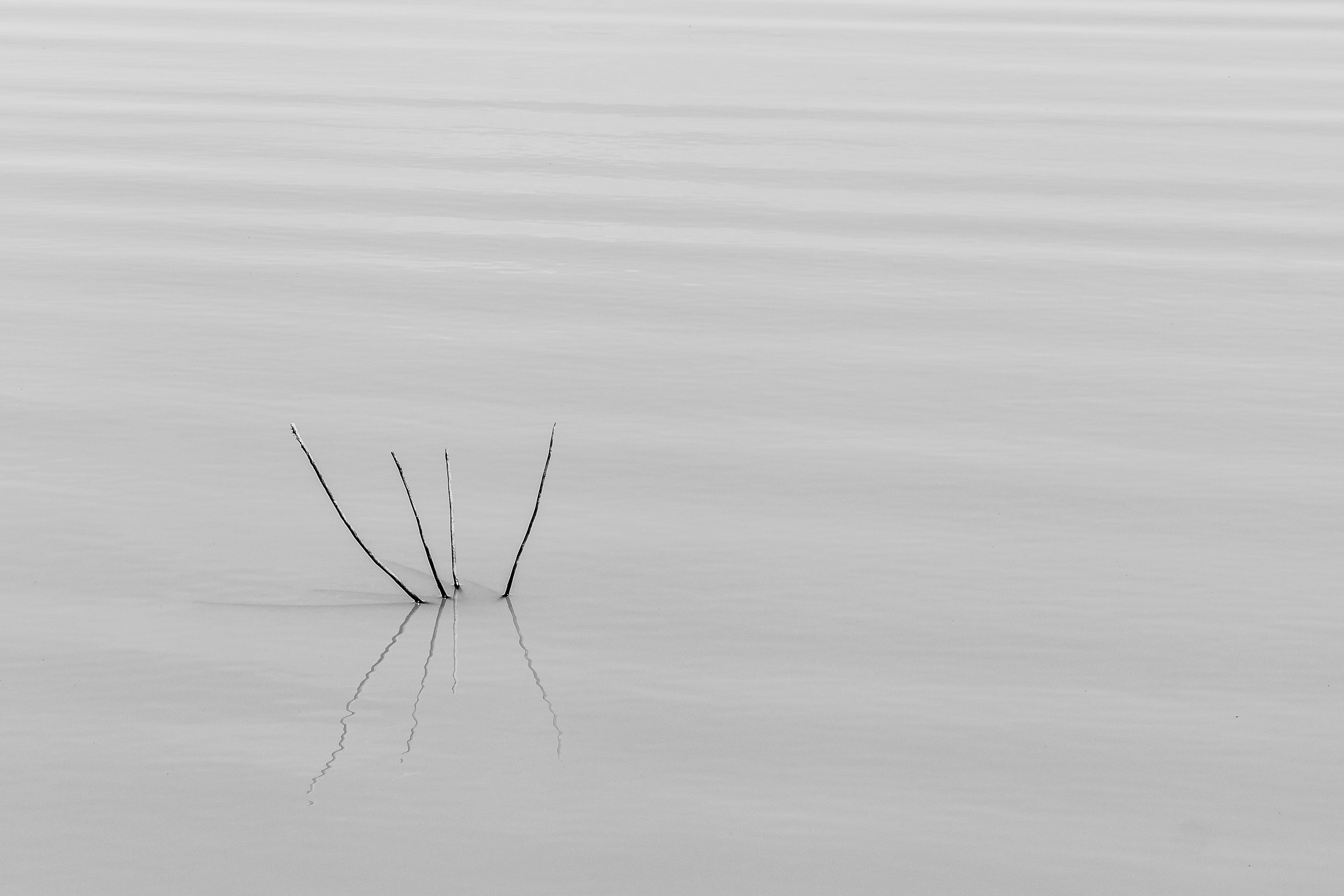 rule of thirds, non-urban scene, tranquility, horizontal, beach, outdoors, day, tranquil scene, beauty in nature, scenics - nature, waterfront, 4, sand, HD Wallpaper