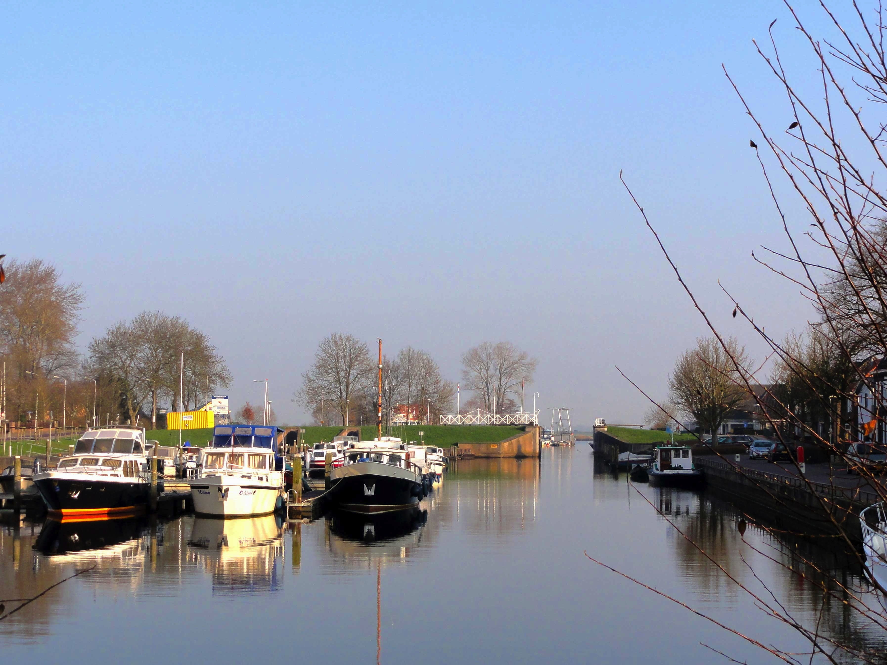 bare tree, sky, tranquility, no people, water, refections, tree, reflection, 2K, outside, harbor, plant, scenics - nature, sailboat, Netherlands, scenic, HD Wallpaper