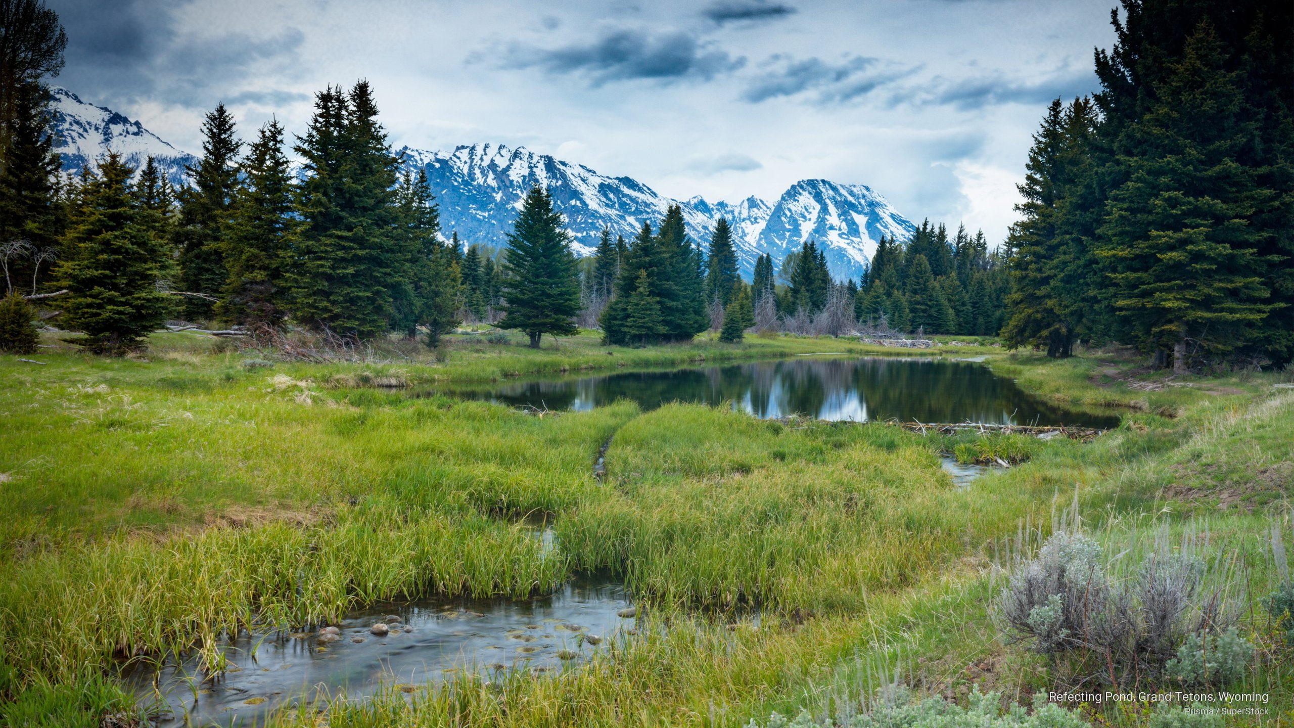 refecting, tetons, grand, wyoming, pond, Mountains, 2K, HD Wallpaper