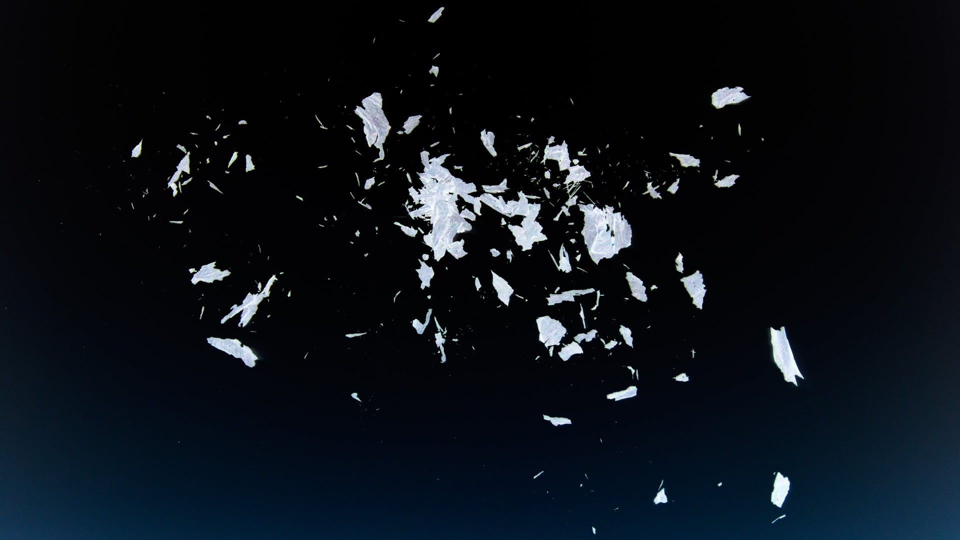 floral, exploding, dark, damaged, abstract, nature, motion, broken glass, broken, breaking, digital art, destruction, black, indoors, impact, black background, HD Wallpaper