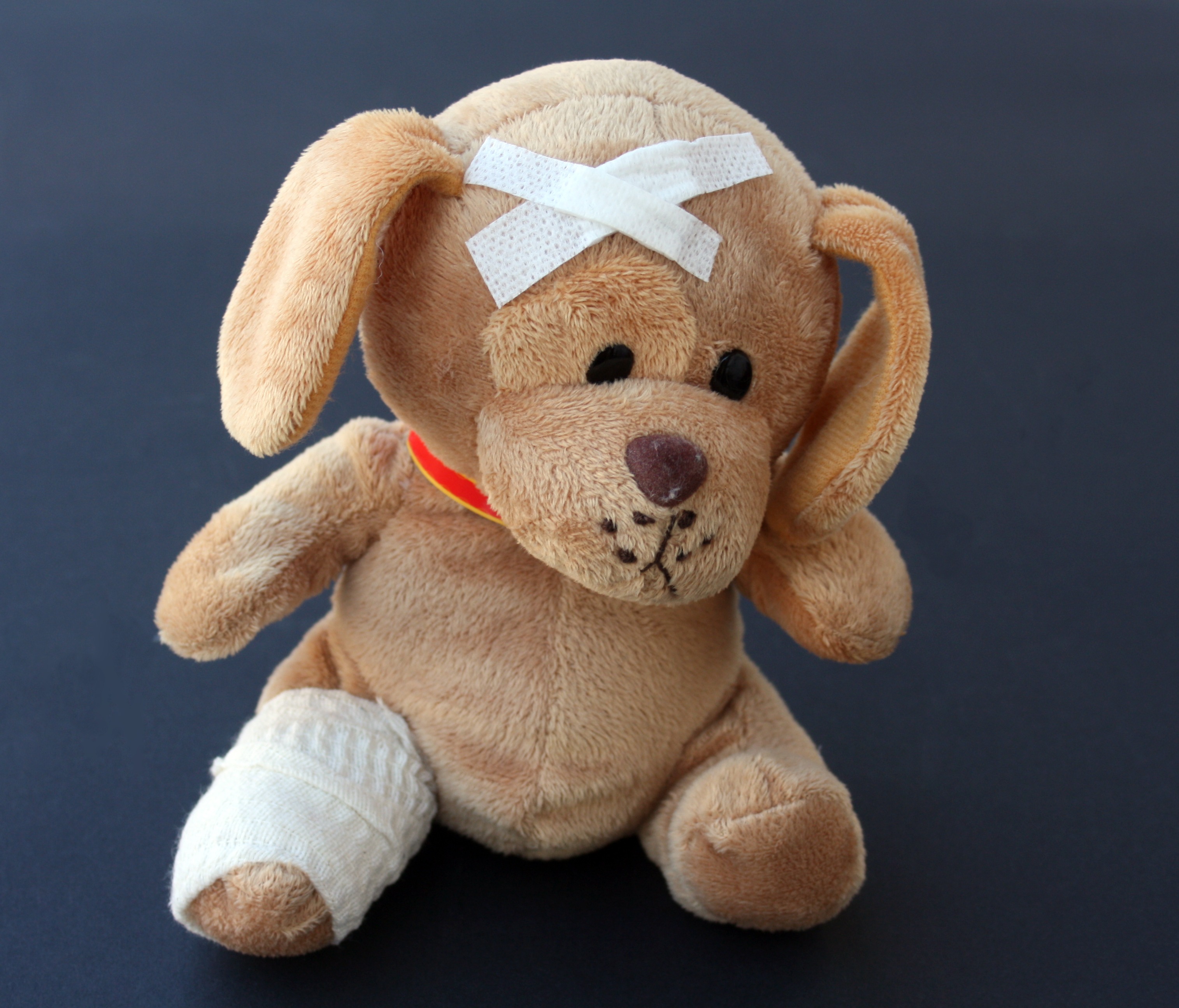 toy, toy animal, visit, studio shot, animal, association, physical injury, bandage, ill, close-up, teddy, background, representation, 2K, dog, sad, plush, HD Wallpaper