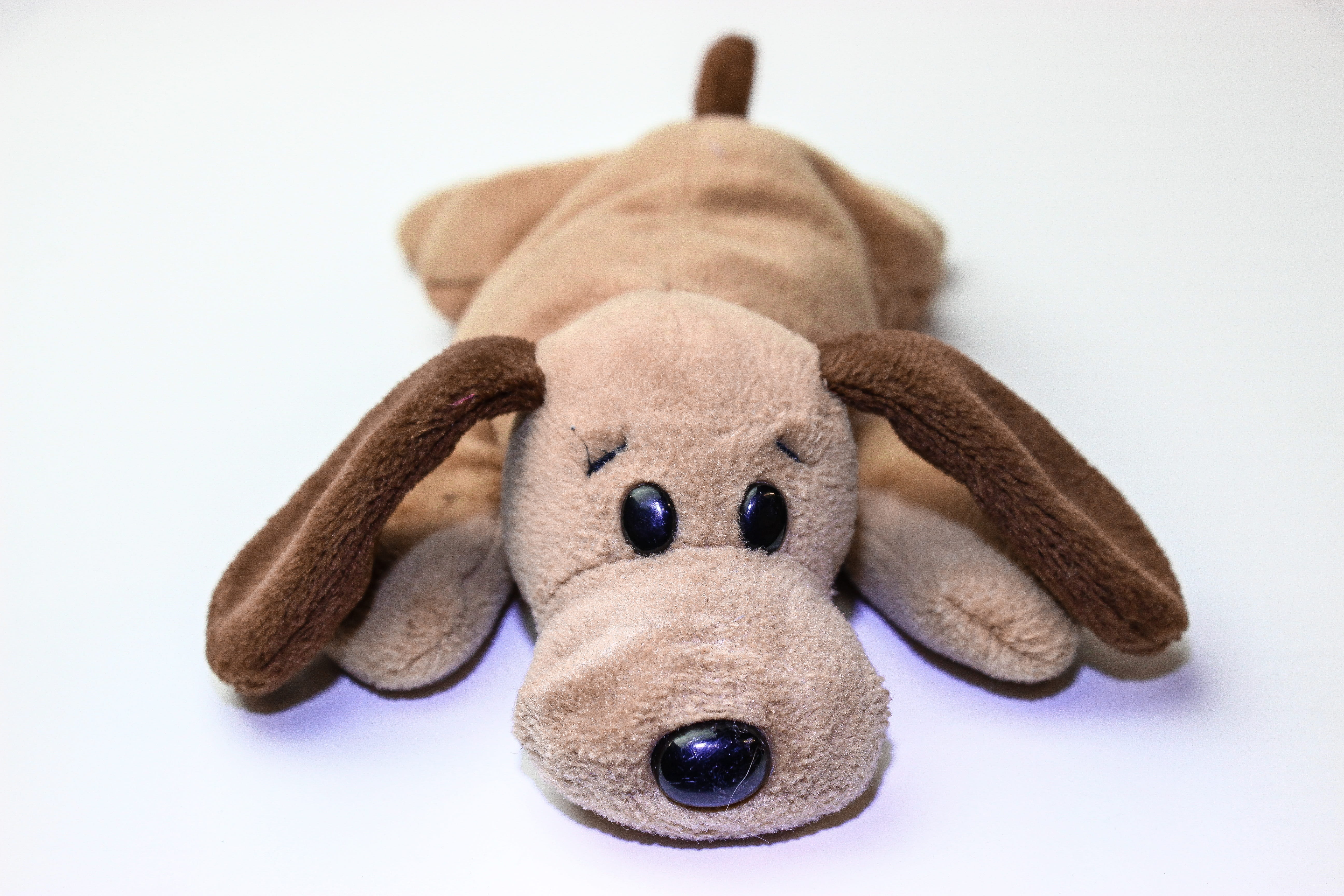 toy, mammal, studio shot, stuffed toy, people, physical injury, man made, white background, sweet, beanie baby, softness, teddy bear, soft toy, cut out, HD Wallpaper