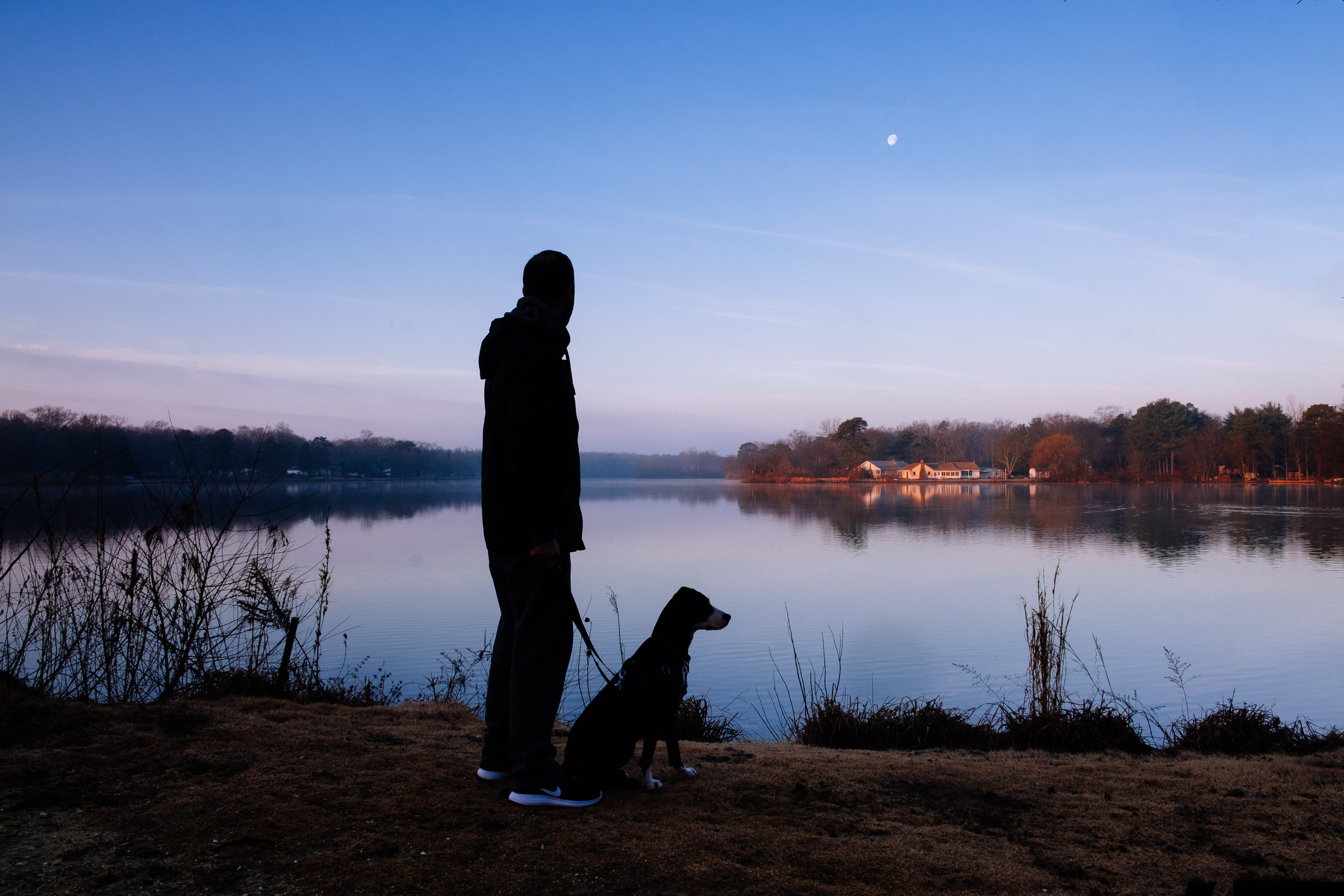 domestic, silhouette, men, one person, family, standing, pets, animal, water, love, real people, facing, people, daytime, body of water, dog, 5K, domestic animals, HD Wallpaper