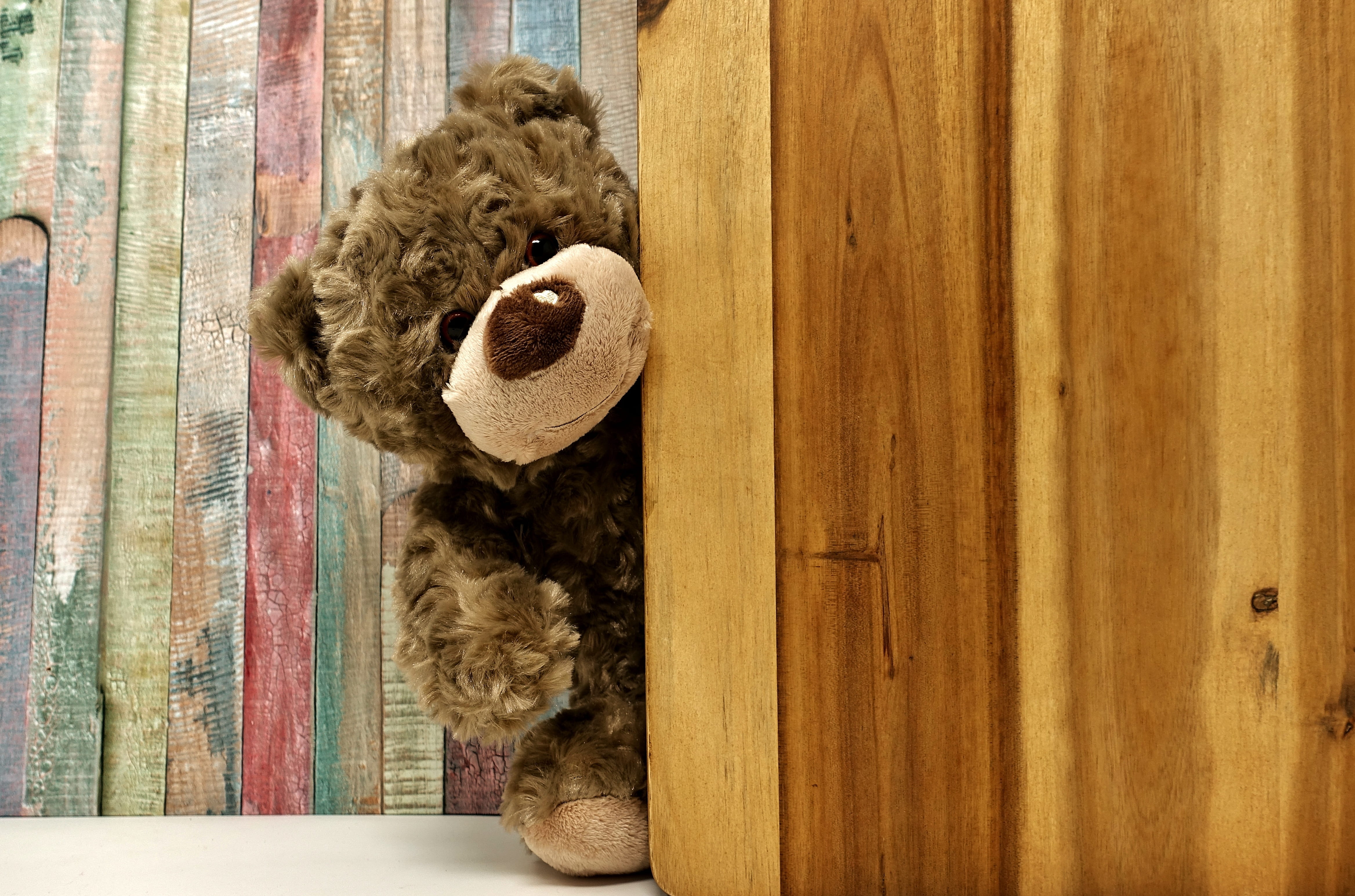 cat, peeking, 4K, home interior, domestic animals, bears, furry teddy bear, toy, wooden, day, bear, domestic, representation, pets, teddy bear, animal themes, HD Wallpaper