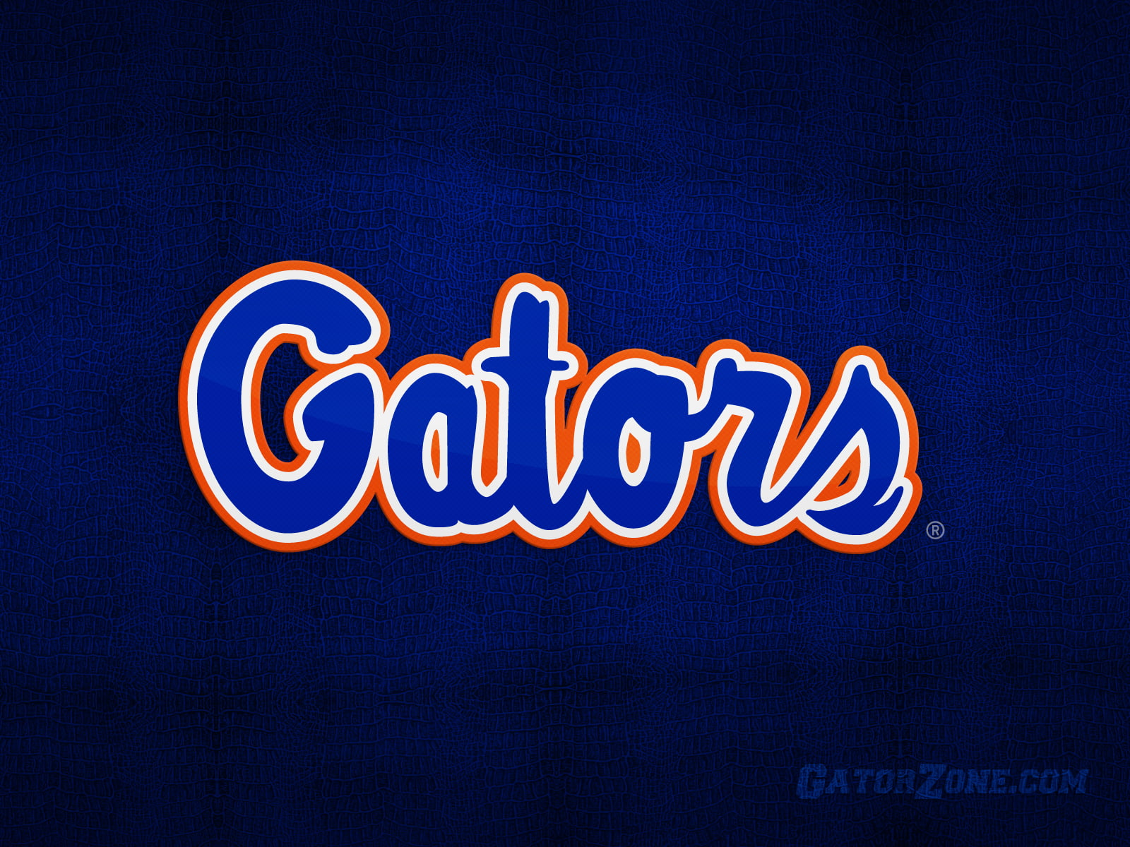 blue, 720P, hd, sports, football, orange, clipart, gators, HD Wallpaper