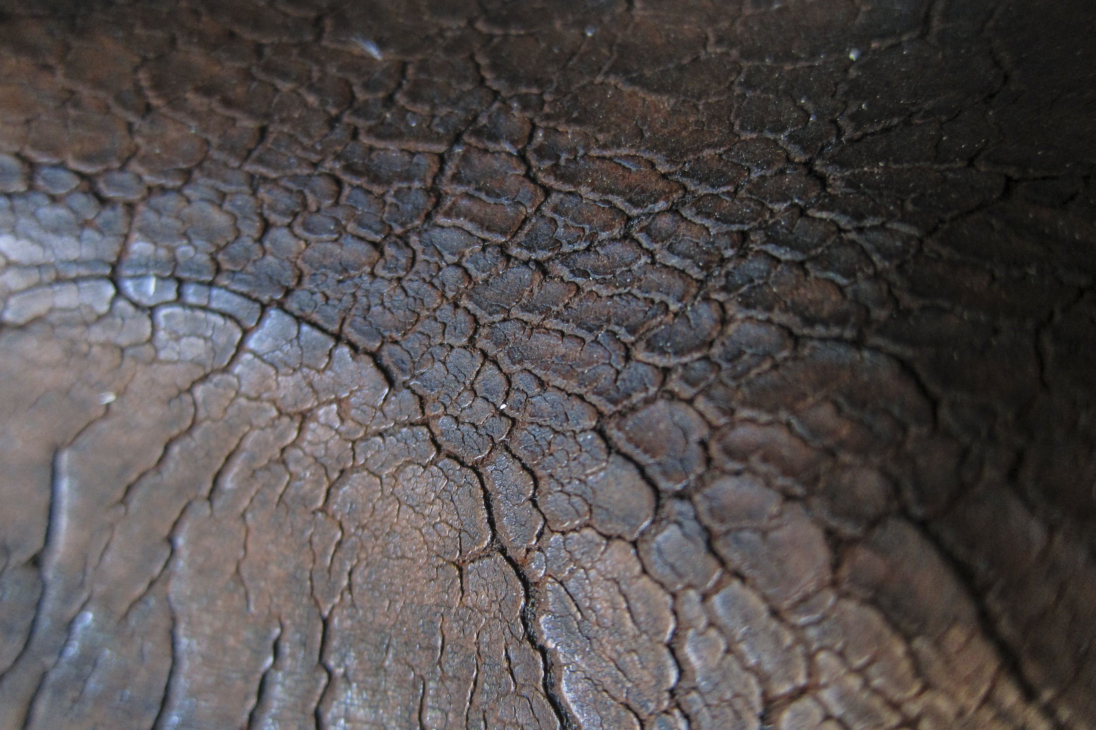 nature, leather, vintage, retro, rustic, animal body part, arid climate, climate, 2K, backgrounds, african elephant, mud, close-up, color, pattern, natural pattern, HD Wallpaper