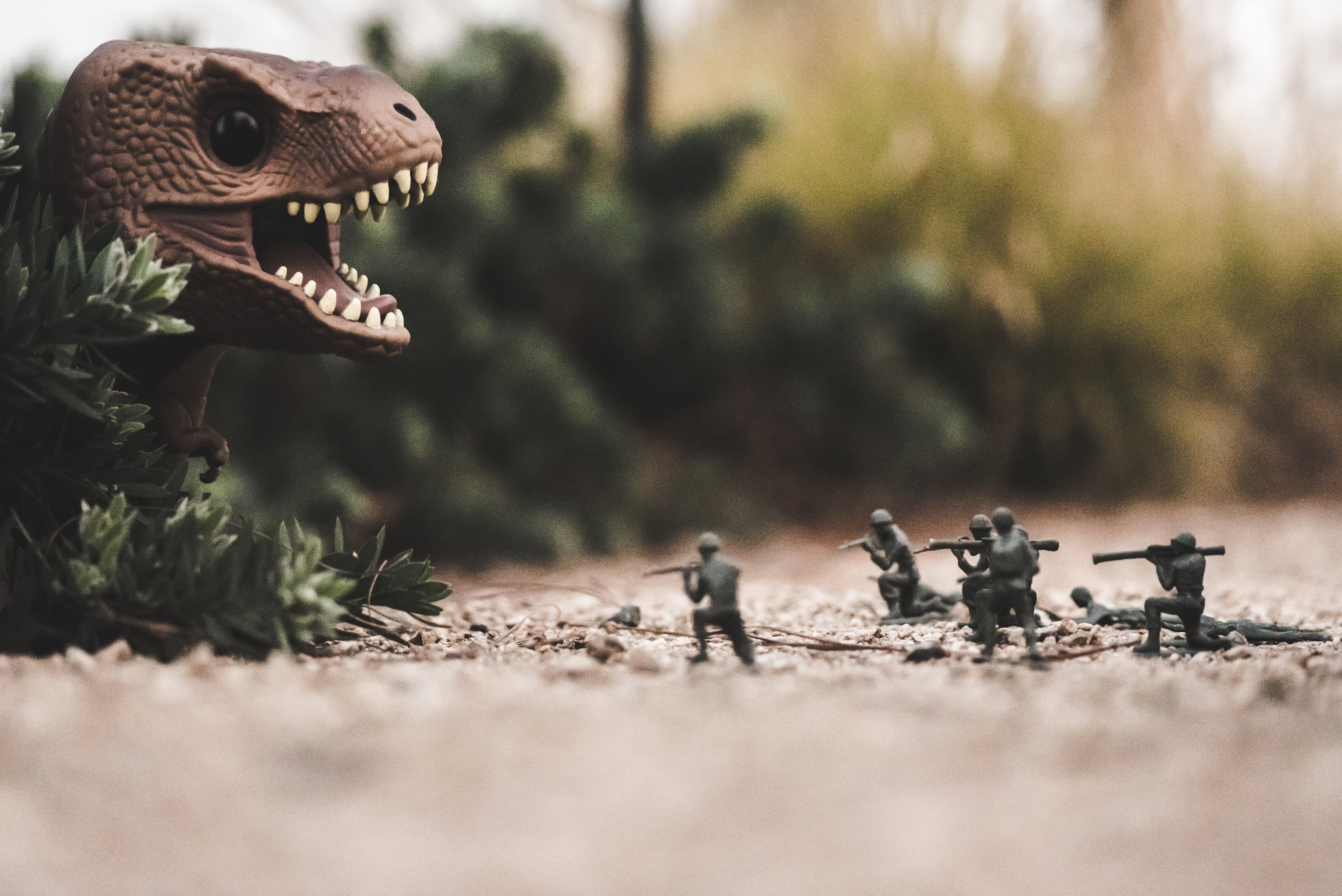 miniature, photo, nature, insect, cactus, no people, animal wildlife, figurine, t-rex, vertebrate, soldier, ground, mouth open, dung beetle, dinosaur, reptile, HD Wallpaper