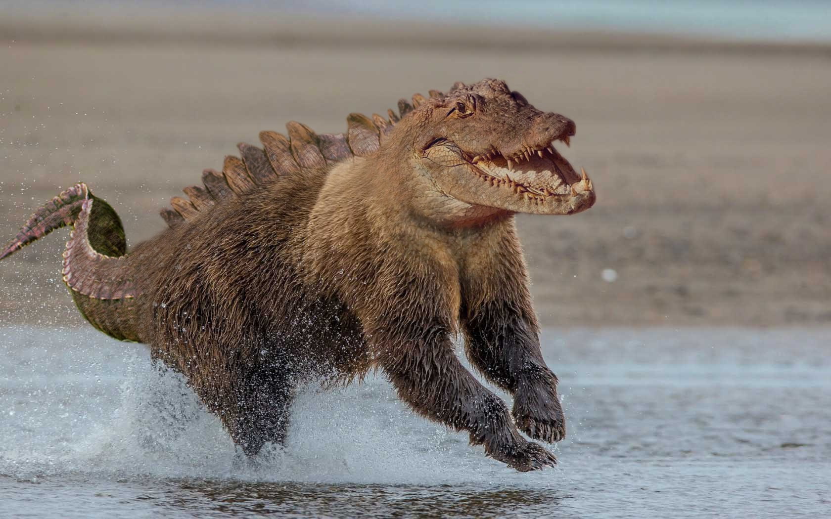 splashing, snarling, outdoors, focus on foreground, no people, anger, mouth open, Crocodiles, animal wildlife, animals, mammal, Photo Manipulation, water, HD Wallpaper