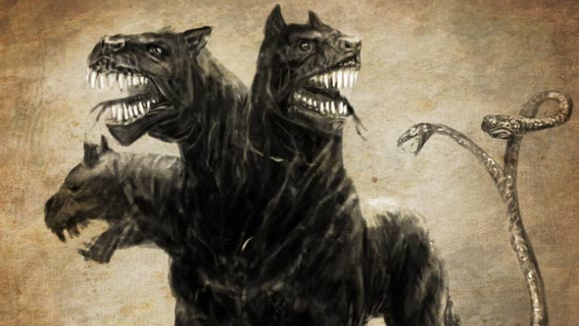 Cerberus, group of animals, animal teeth, warning sign, gray, conflict, no people, three, black, animal head, headed, animal body part, 1080P, communication, HD Wallpaper