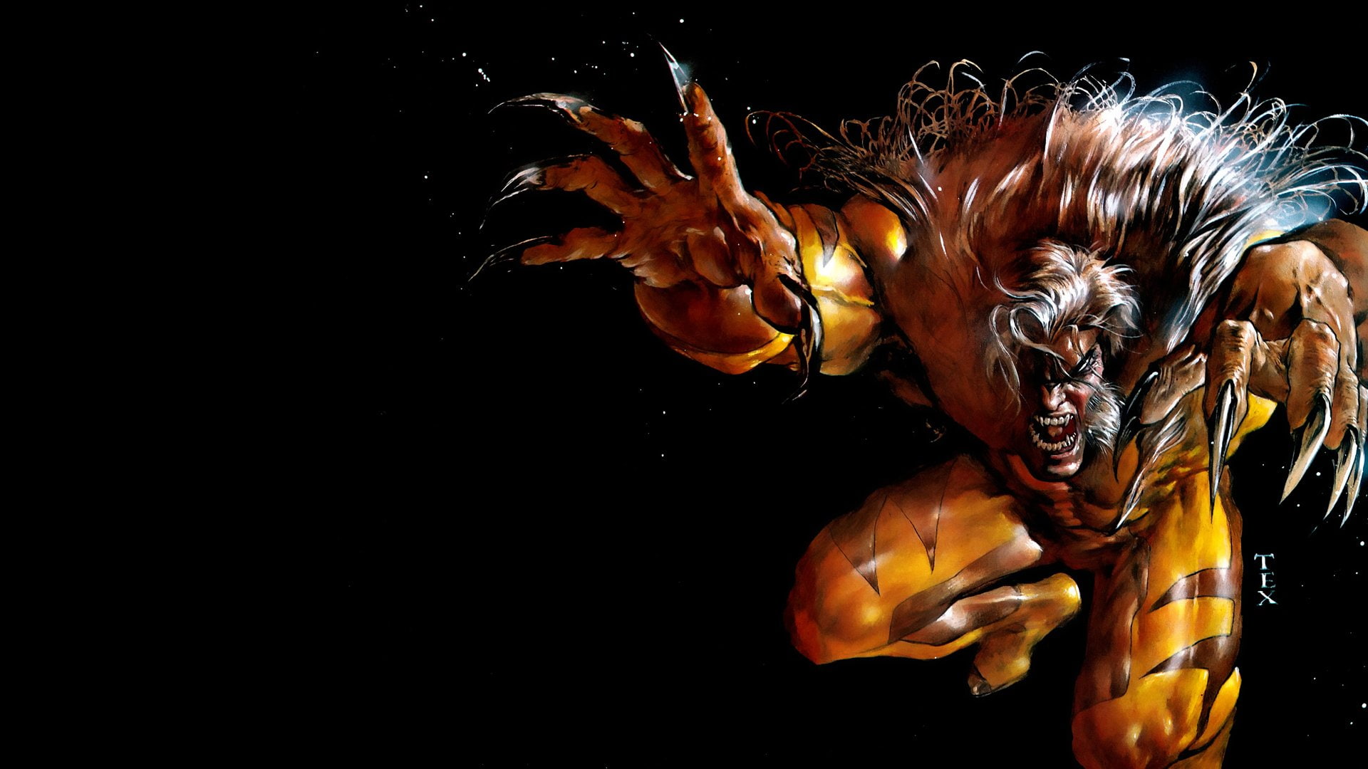 Sabretooth, Comics, 1080P, HD Wallpaper