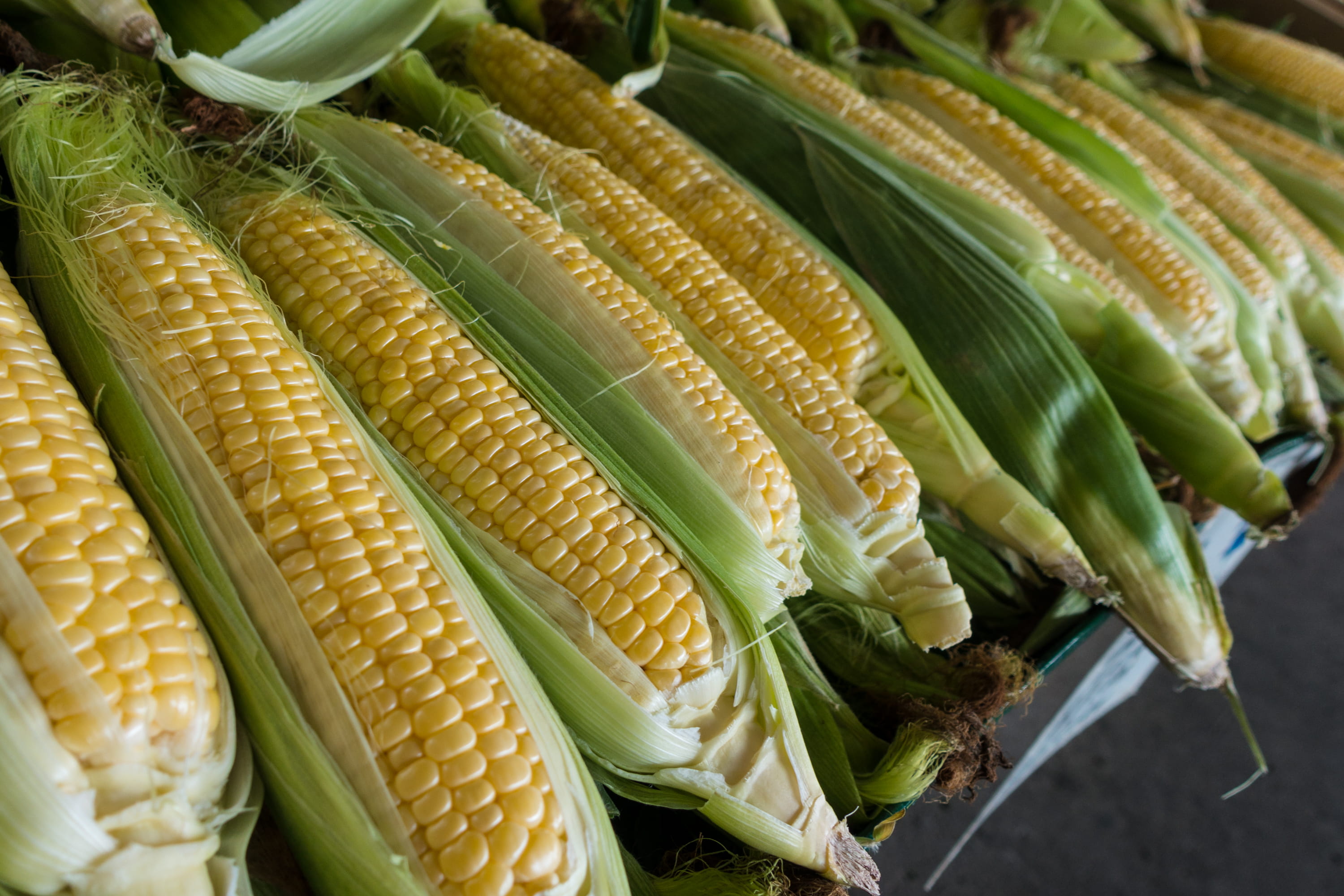 fruit, corn, still life, food, no people, produce, corns, leek, for sale, sweetcorn, sunflower, blossom, animal, retail, business, wellbeing, bean sprout, HD Wallpaper