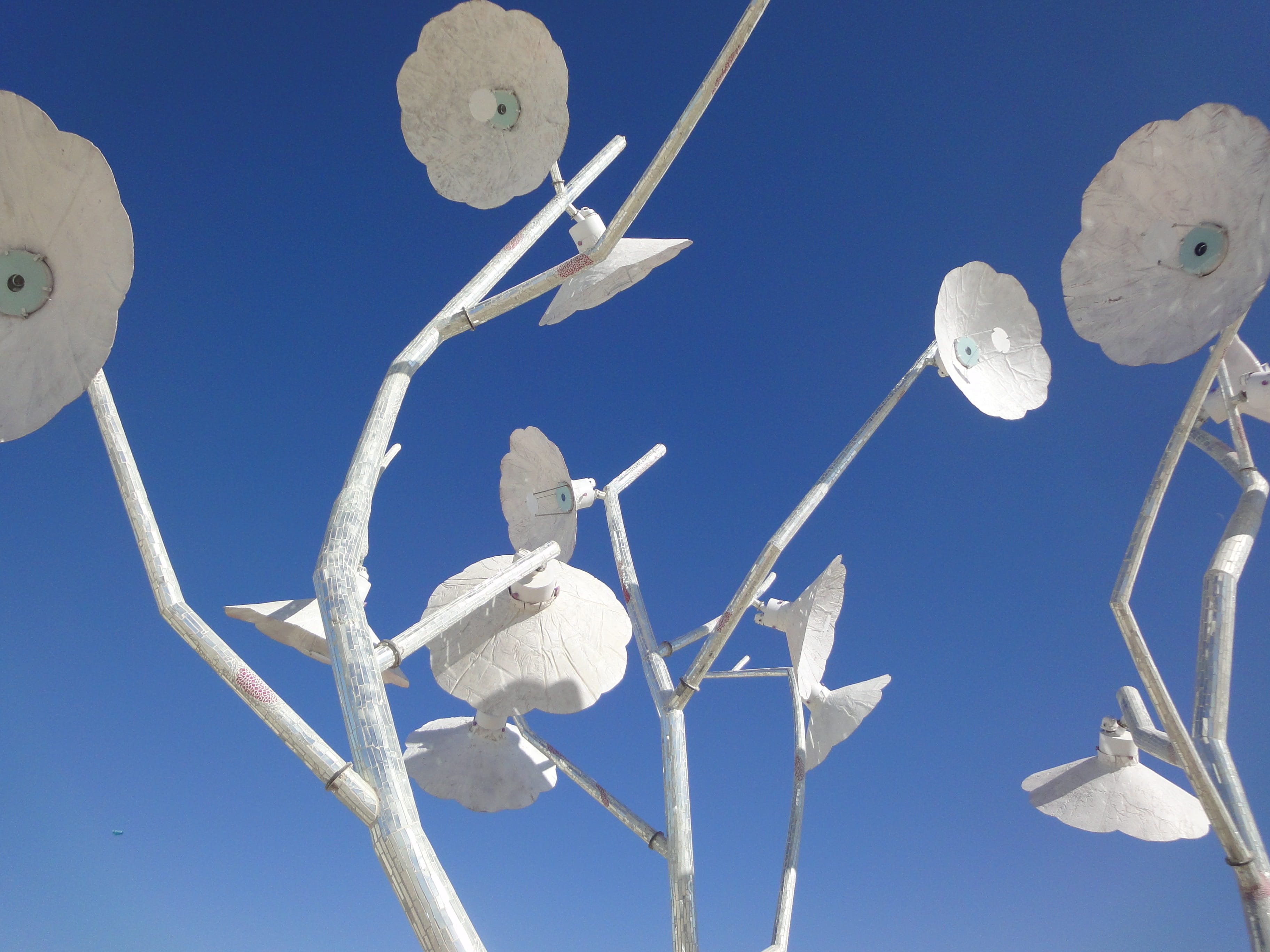 white color, cold - Temperature, snow, vulnerability, nature, sky, tree, day, clear sky, season, no People, Burning Man, fragility, Flowers, representation, HD Wallpaper