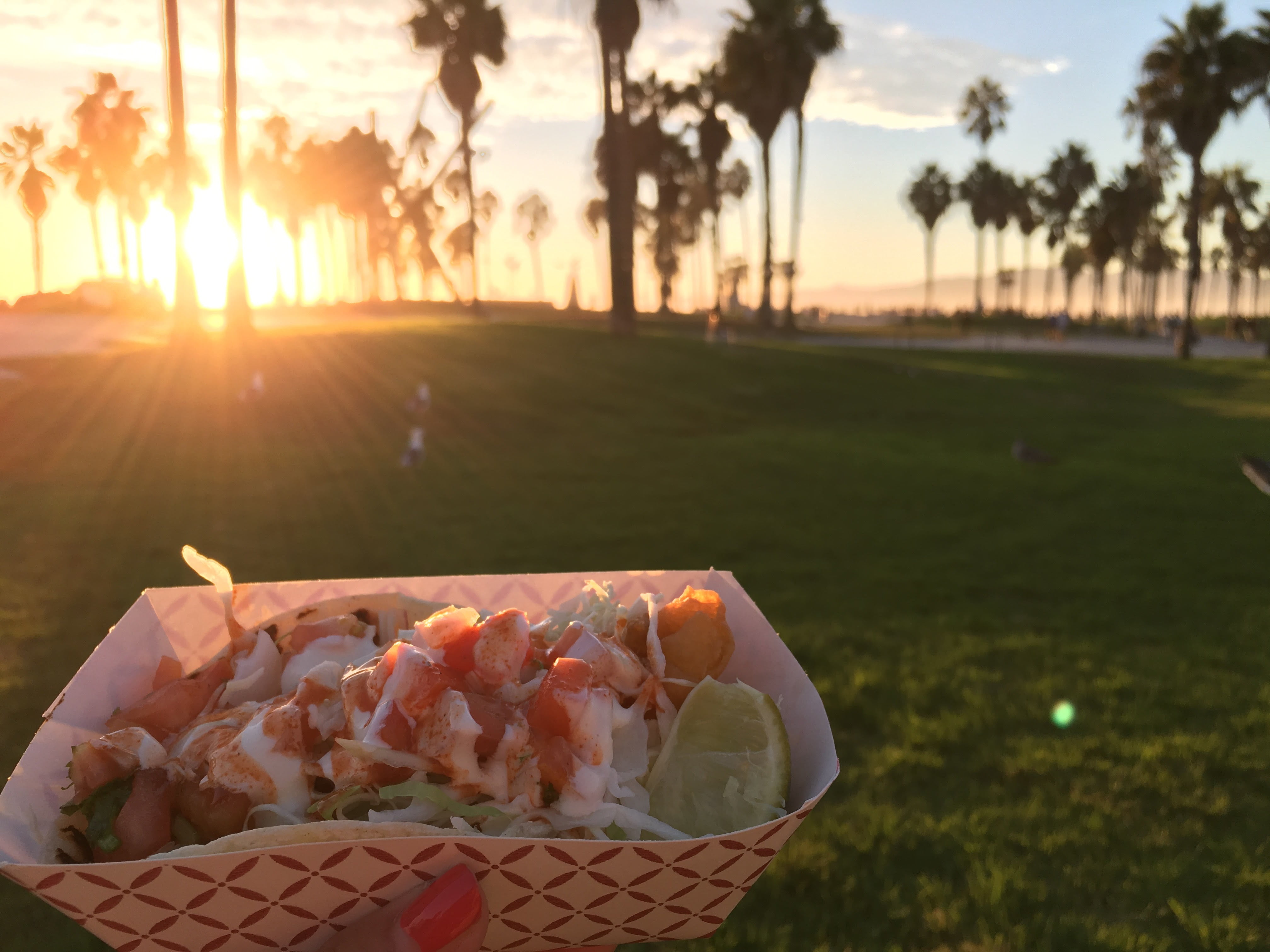 food and drink, picnic, lens flare, lunch, land, dinner, park, outdoors, grass, landscape, disposable, basket, sun, plate, plant, 4K, sunshine, no people, HD Wallpaper