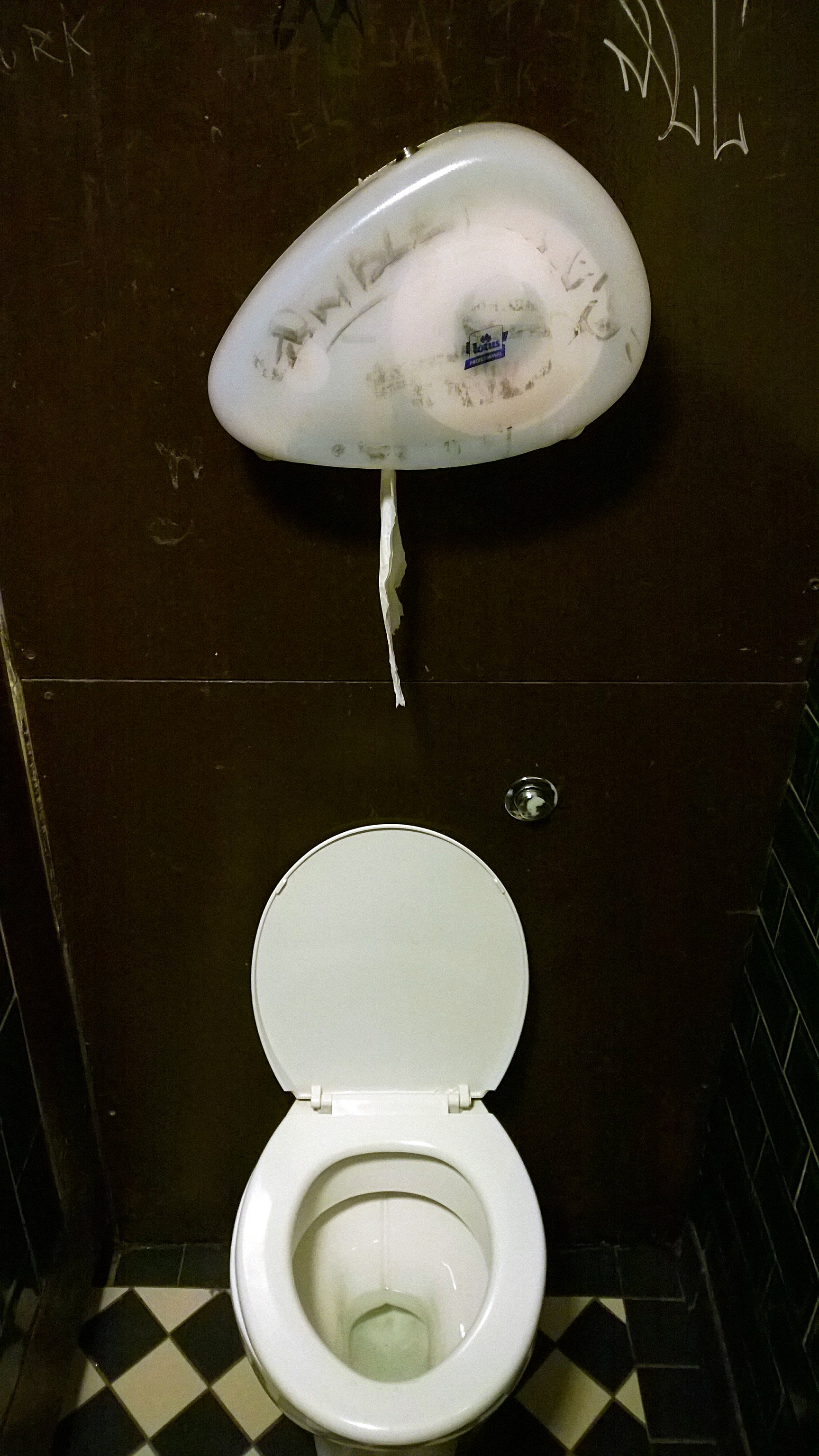 map, sanitary, health, white color, toilet, roll, indoors, 2K, high angle view, animal, water, vater, vespasiano, seat, disgust, toilet paper, no people, Phone HD Wallpaper