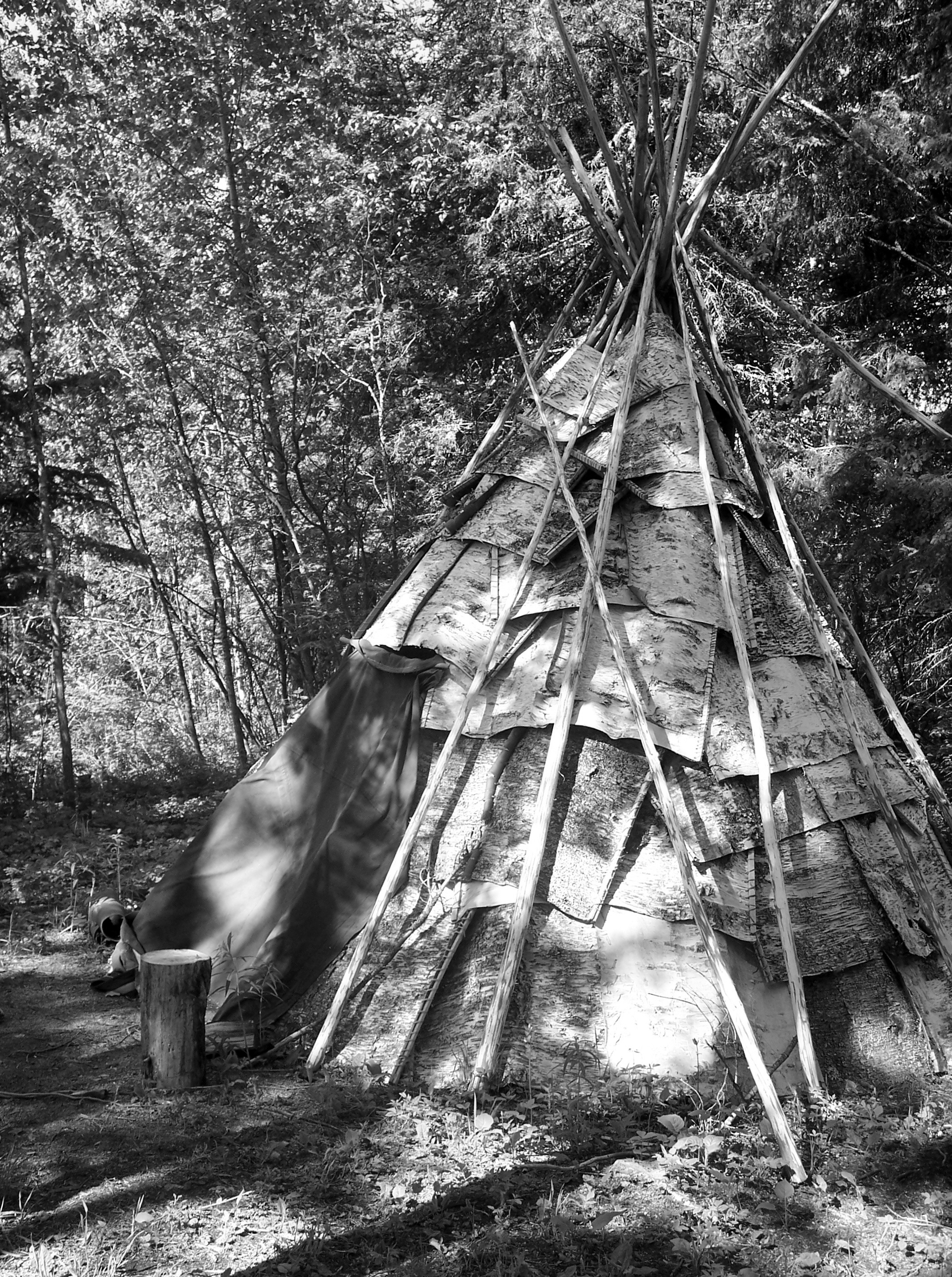 land, outdoors, teepee, tipee, indian, native american, blurred motion, old, american, cultural, native, day, forest, history, nature, growth, architecture, Phone HD Wallpaper