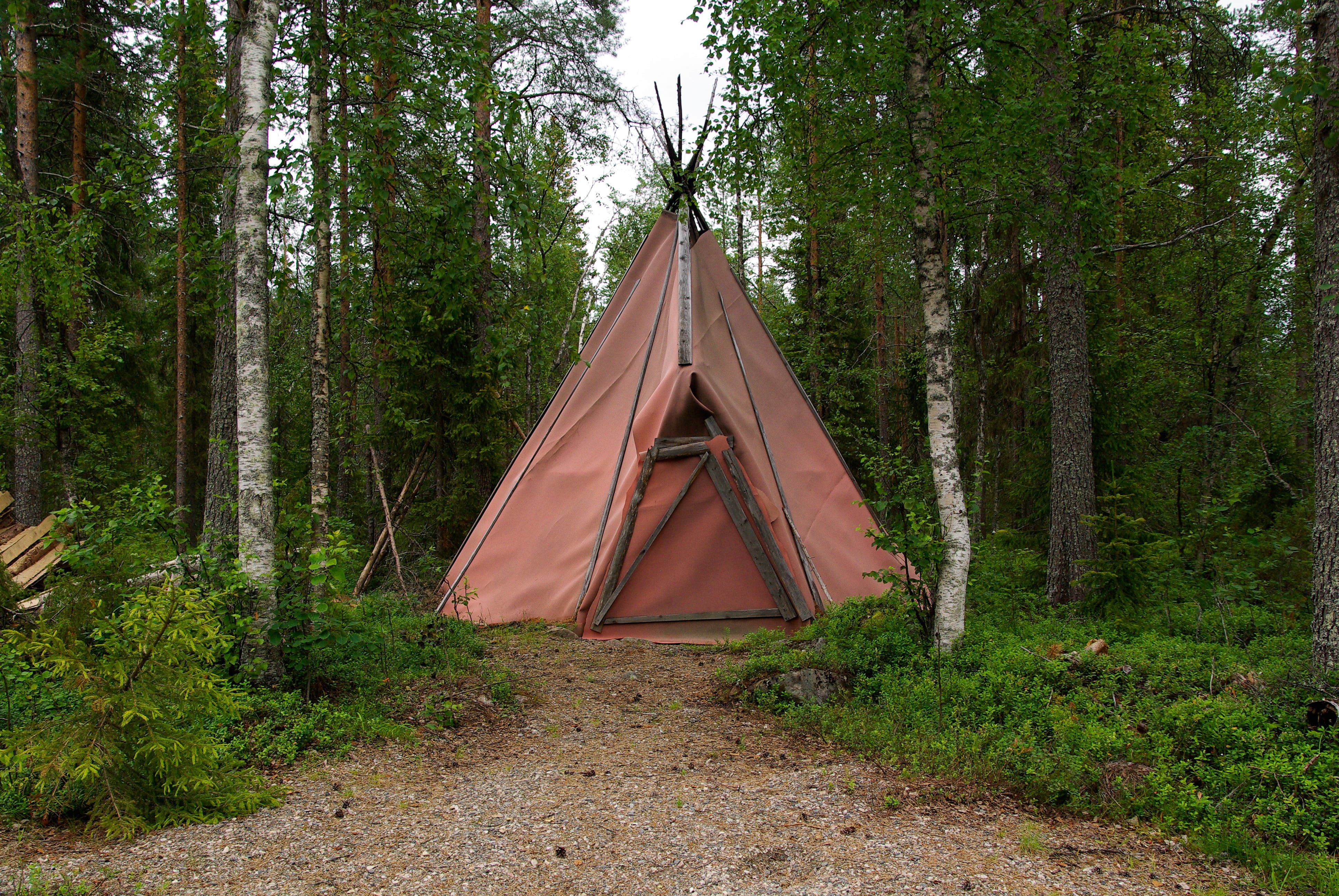 grey, tree, land, nature, pink, woodland, teepee, daytime, scenics - nature, plant, green color, trees, tranquil scene, outdoors, day, beauty in nature, HD Wallpaper
