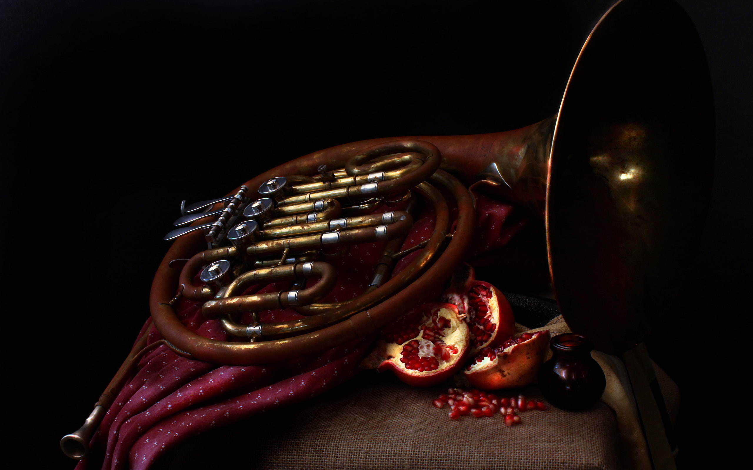 Pomegranates, 2K, music, French horn, HD Wallpaper