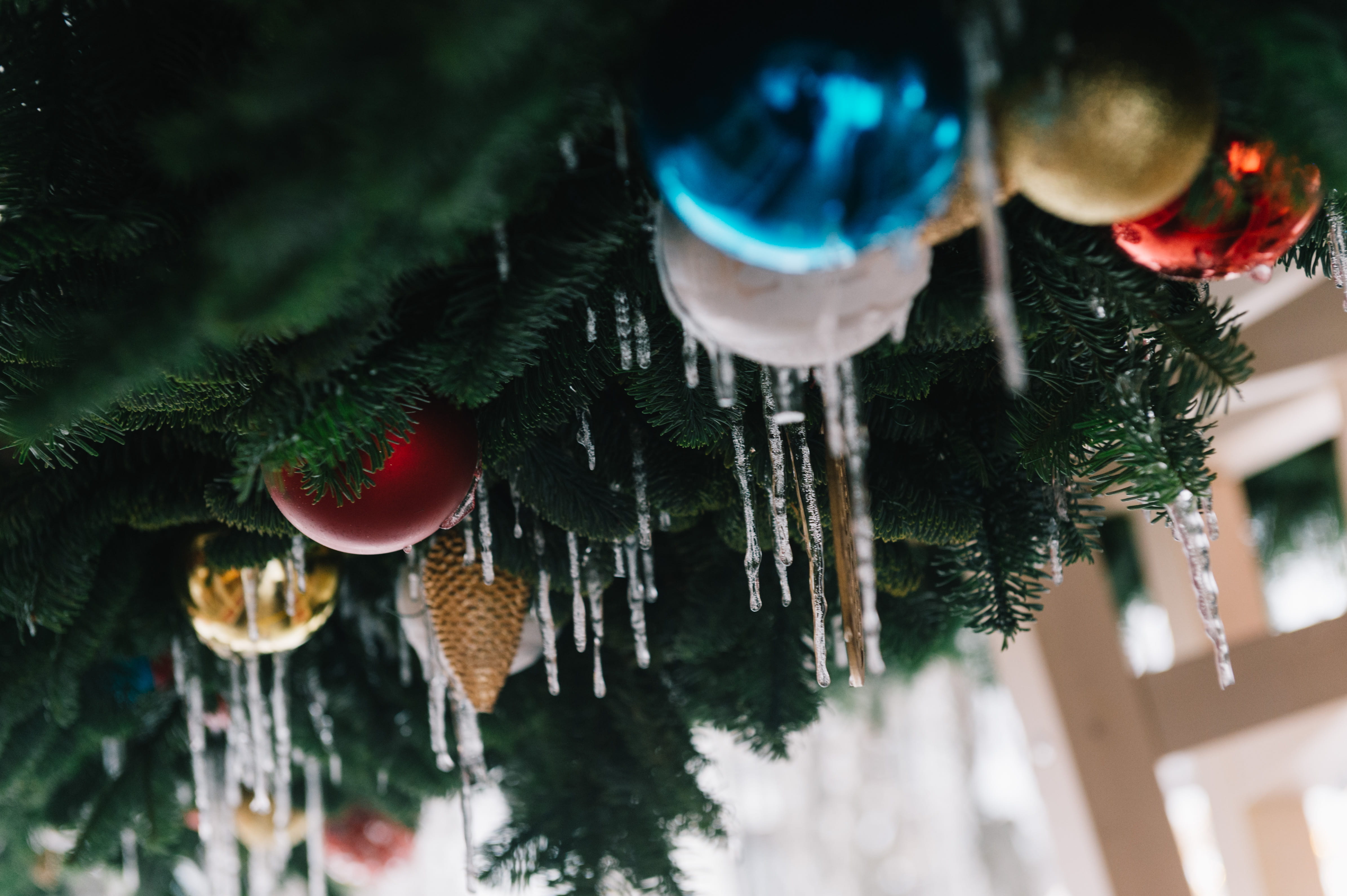 focus, baubles, photography, day, christmas balls, glisten, design, snow, indoors, cold temperature, blurred background, decoration, threads, nature, plant, HD Wallpaper