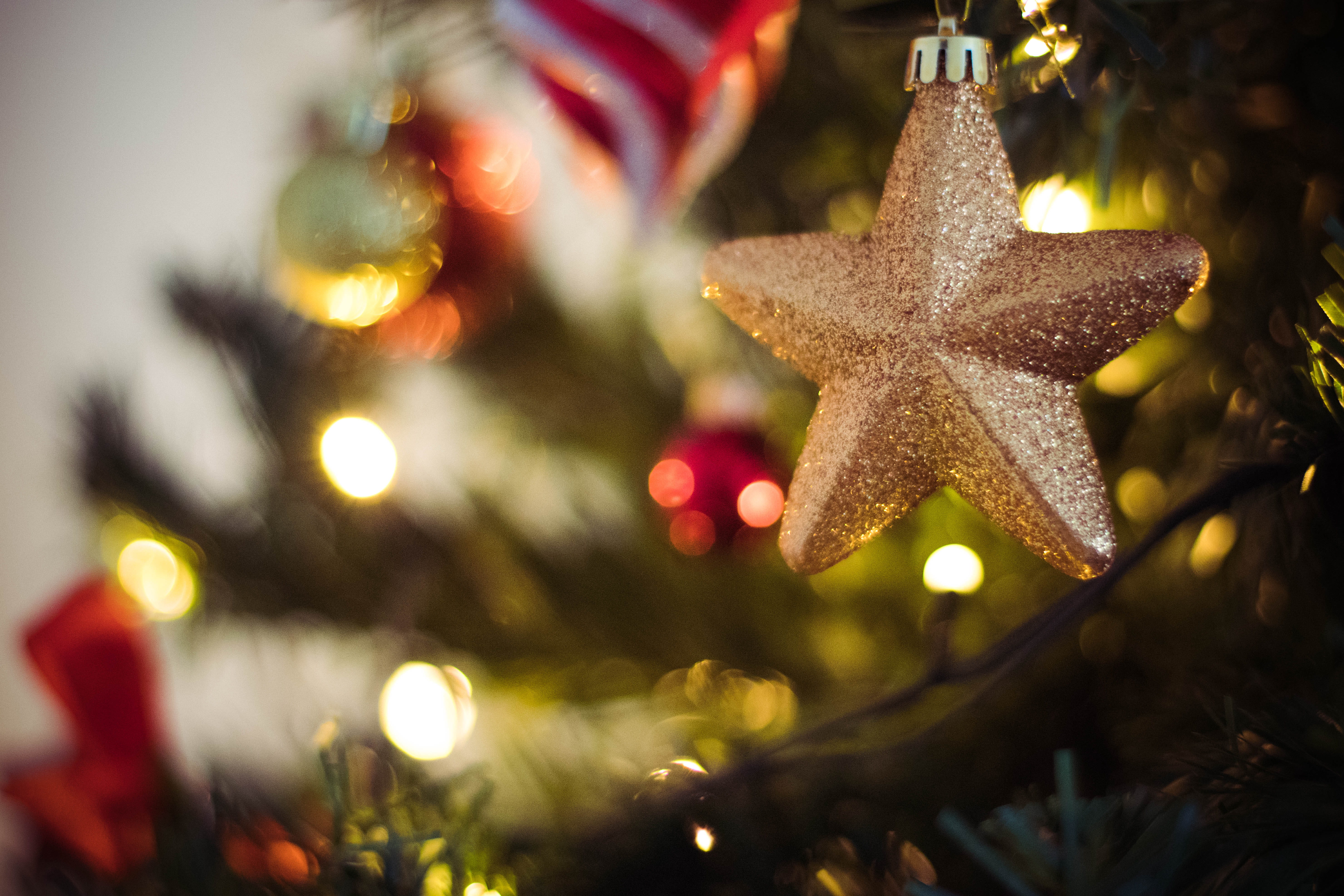 nature, gold, shiny, focus, tree, golden, christmas decoration, christmas ornament, christmas, christmas balls, 5K, plant, illuminated, tradition, ornate, HD Wallpaper