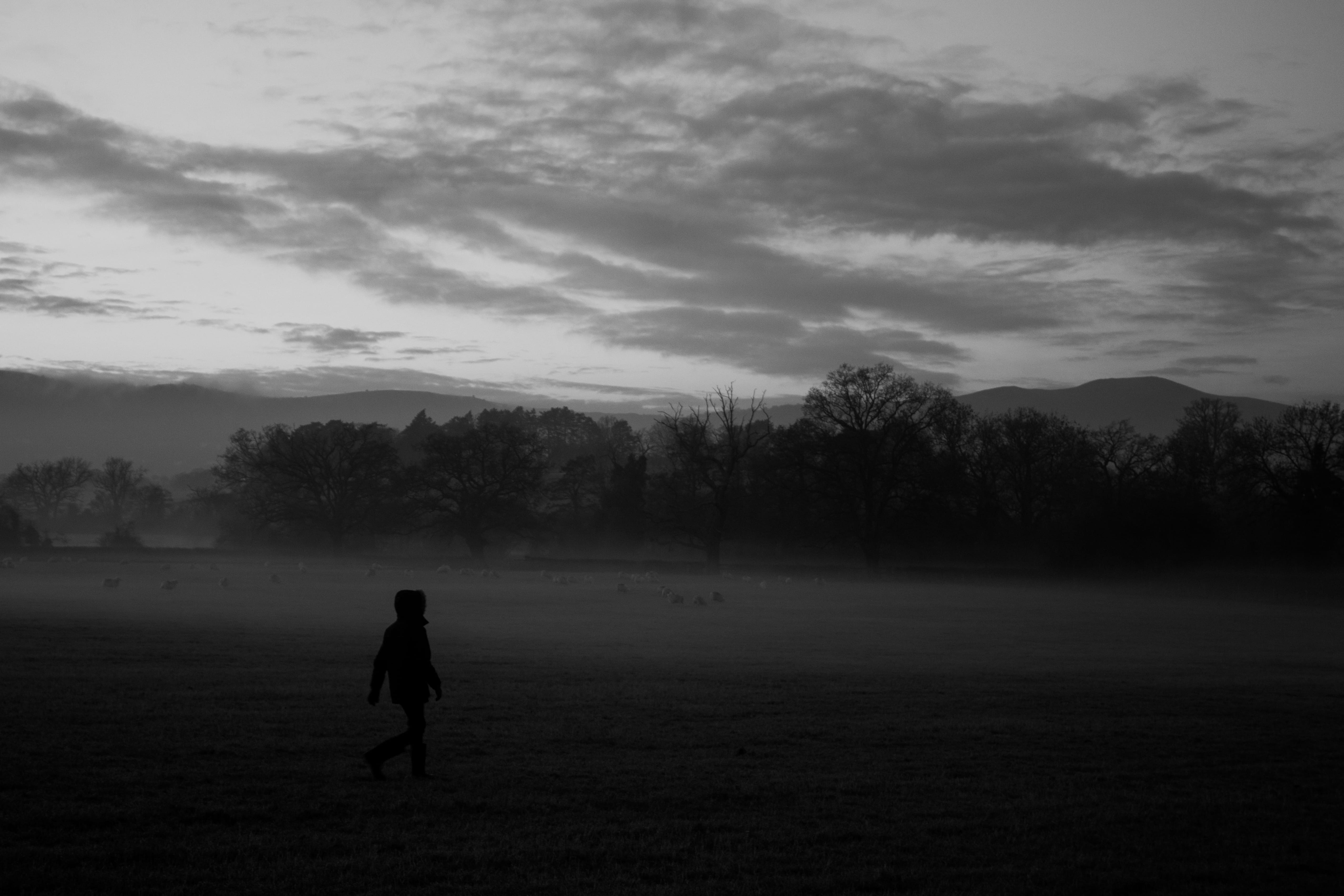 monochrome, light, 4K, weather, tranquility, united kingdom, one person, tranquil scene, creepy, person, plant, ghost, mist, dusk, ground, outdoors, tree, HD Wallpaper