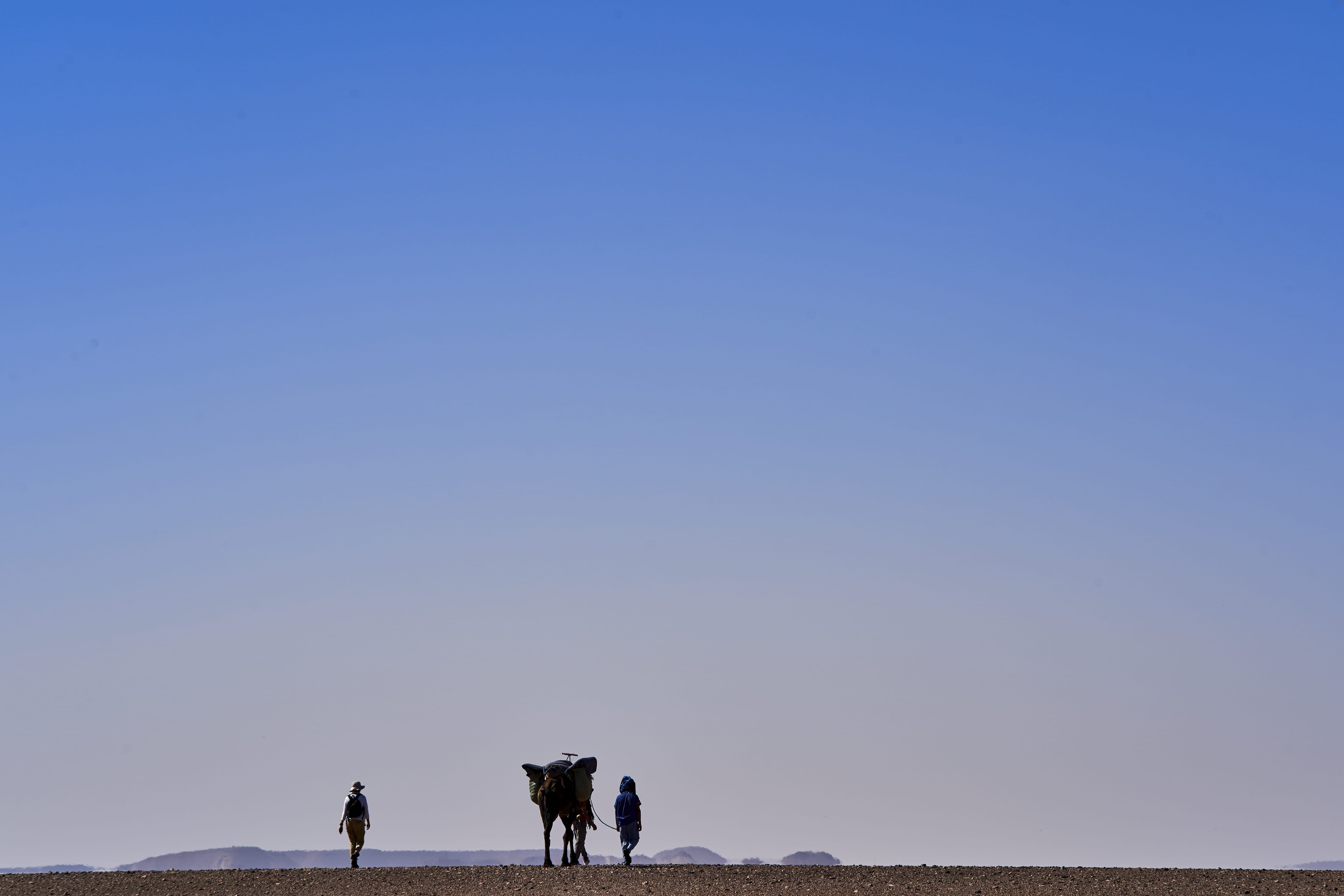 beauty in nature, soil, field, savanna, two people, 5K, blue, outdoors, livestock, tough, strong, fearless, real people, domestic animals, two, four, sky, HD Wallpaper