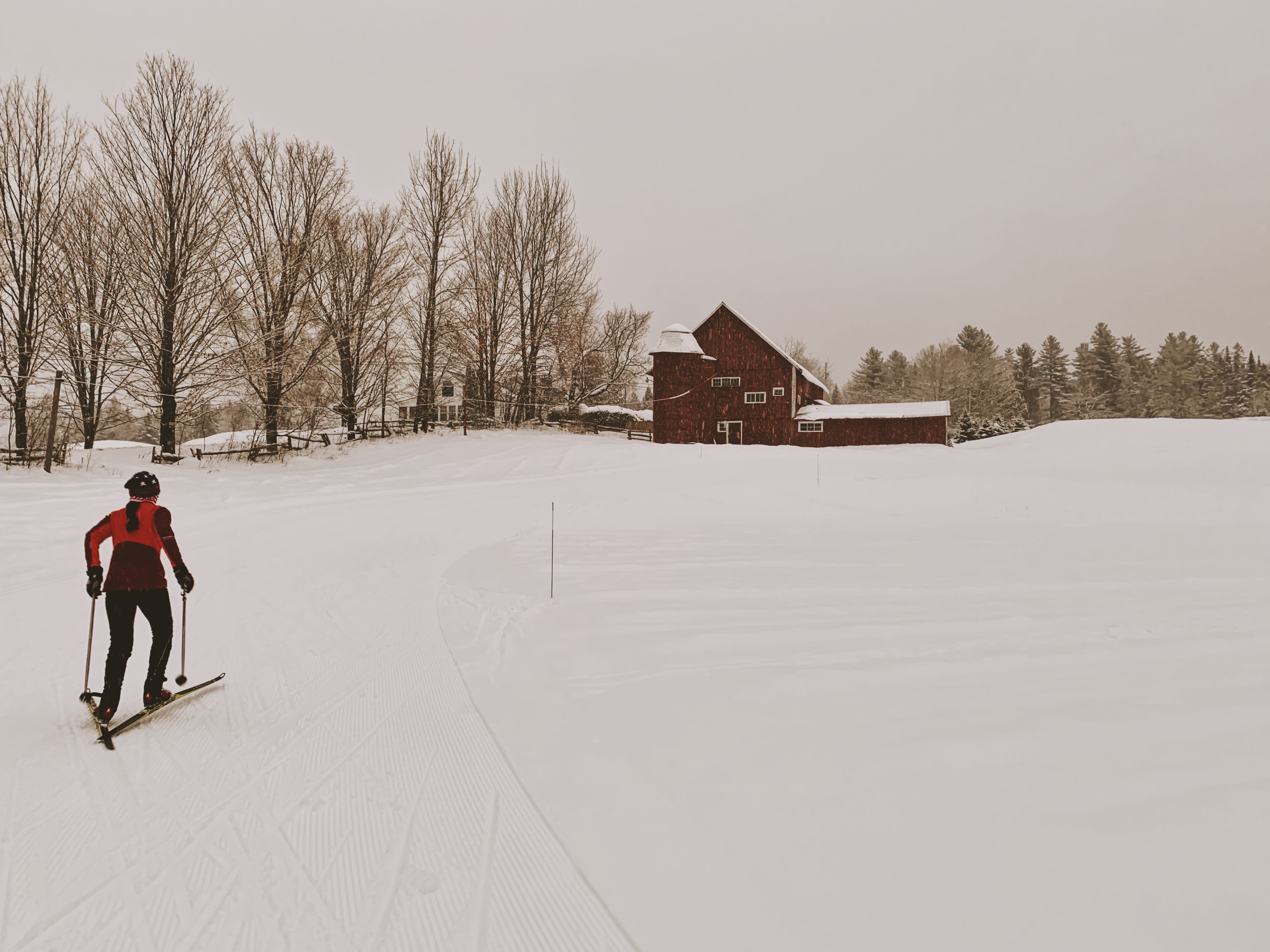 riding, 4K, sled, building exterior, snow, real people, winter, man, tough, architecture, day, fir, built structure, warm clothing, craftsbury outdoor center, HD Wallpaper
