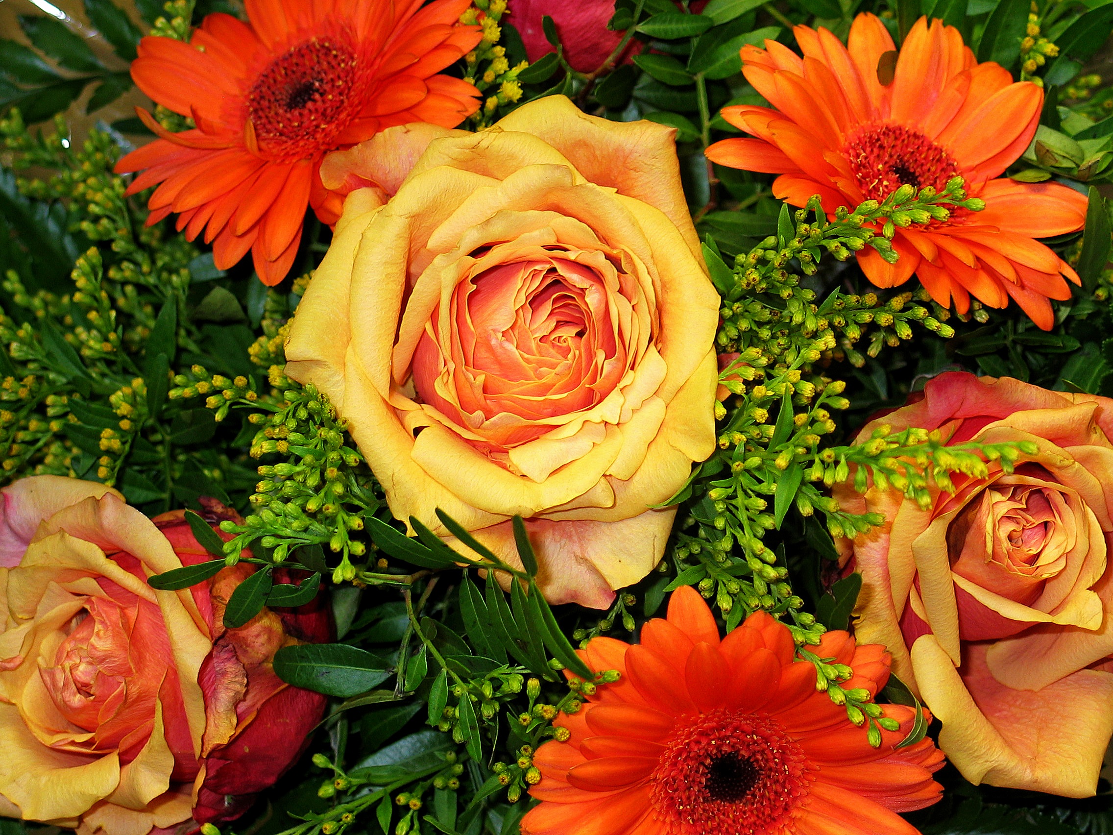 romance, petal, orange, no people, bouquet of roses, inflorescence, flower, greeting, orange flowers, bouquet of flowers, daisy, close-up, red, rose - flower, HD Wallpaper