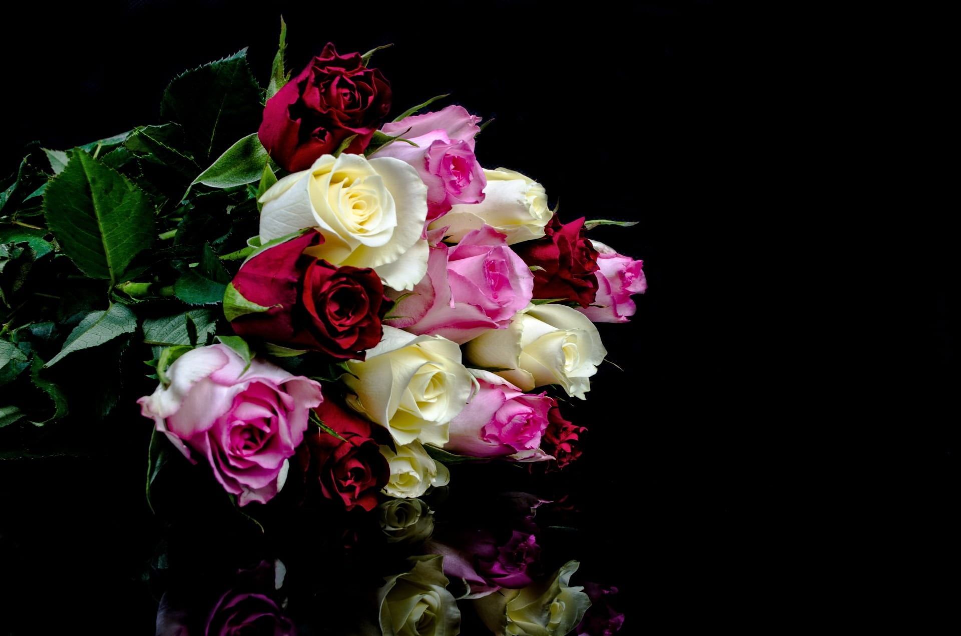 close-up, fragility, freshness, rose, love, background, roses, pink, plant, gift, pink color, black background, wishes card, no people, vulnerability, bouquet, HD Wallpaper