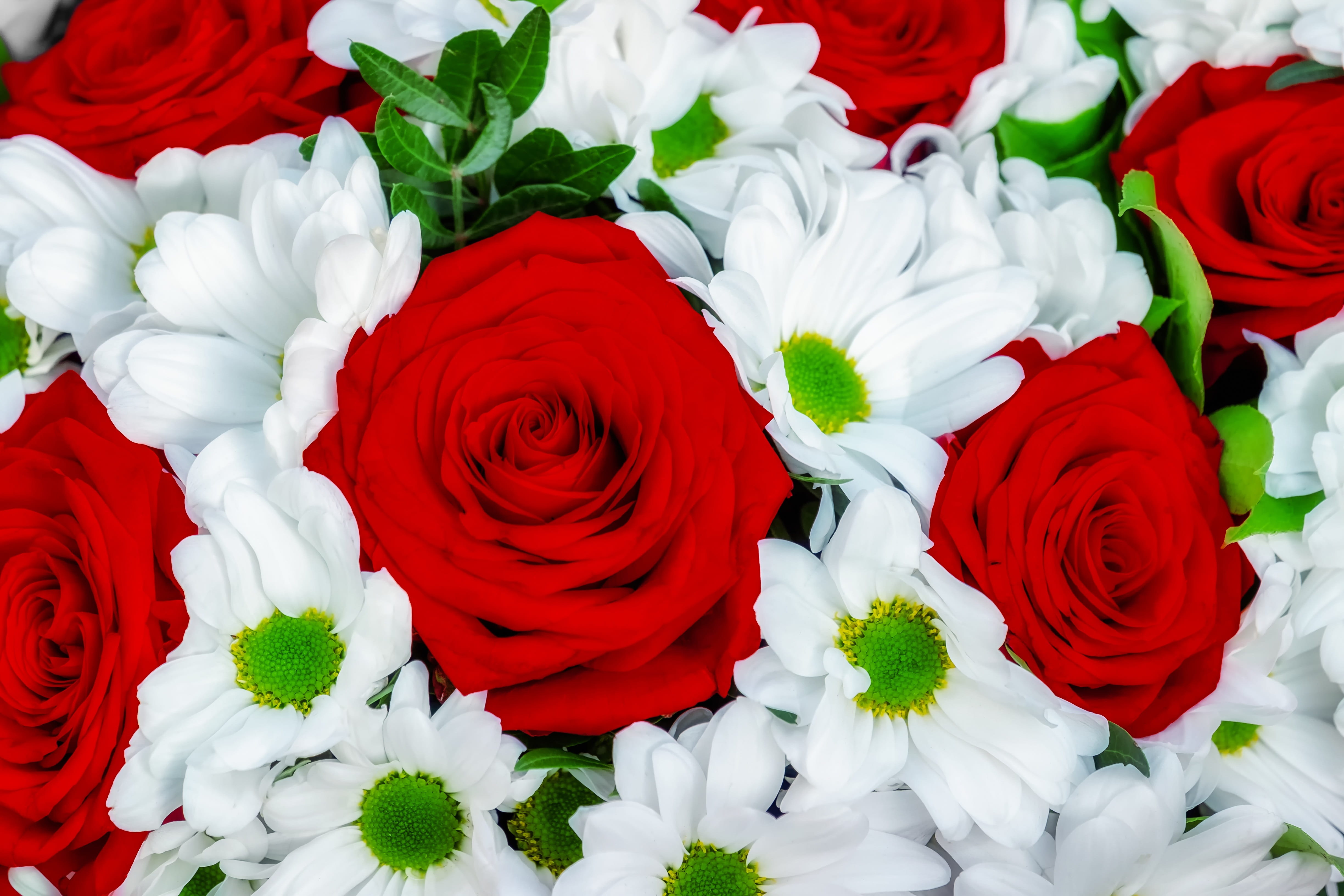 4K, beauty in nature, full frame, bouquet, fragility, bunch of flowers, romantic, flower market, roses, flower arrangement, softness, valentines day, flowering plant, HD Wallpaper