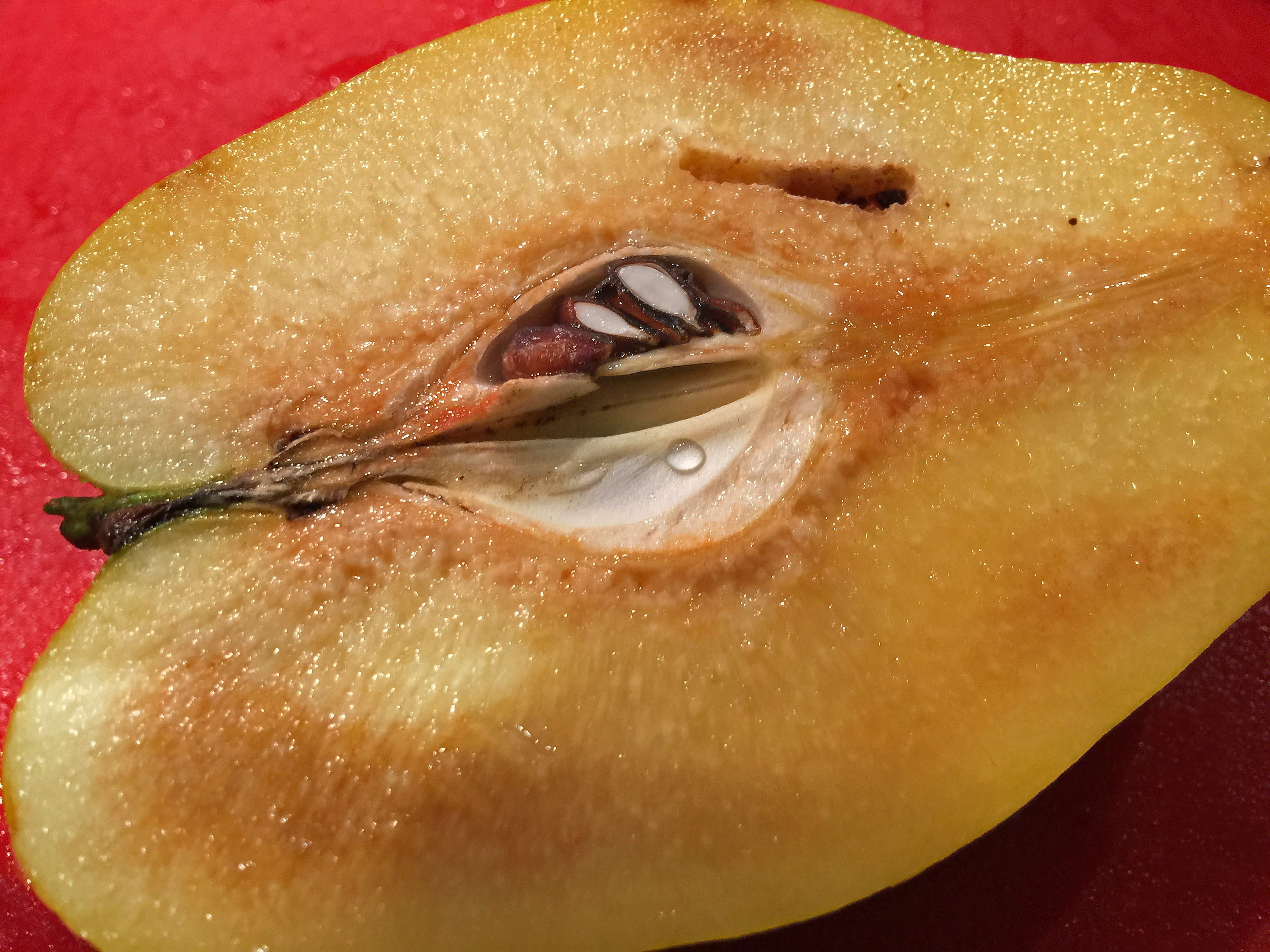 human eye, food, Fruit, indoors, food and drink, human body part, Quince, one person, adult, halved, slice, ripe, 2K, extreme close-up, cross section, HD Wallpaper
