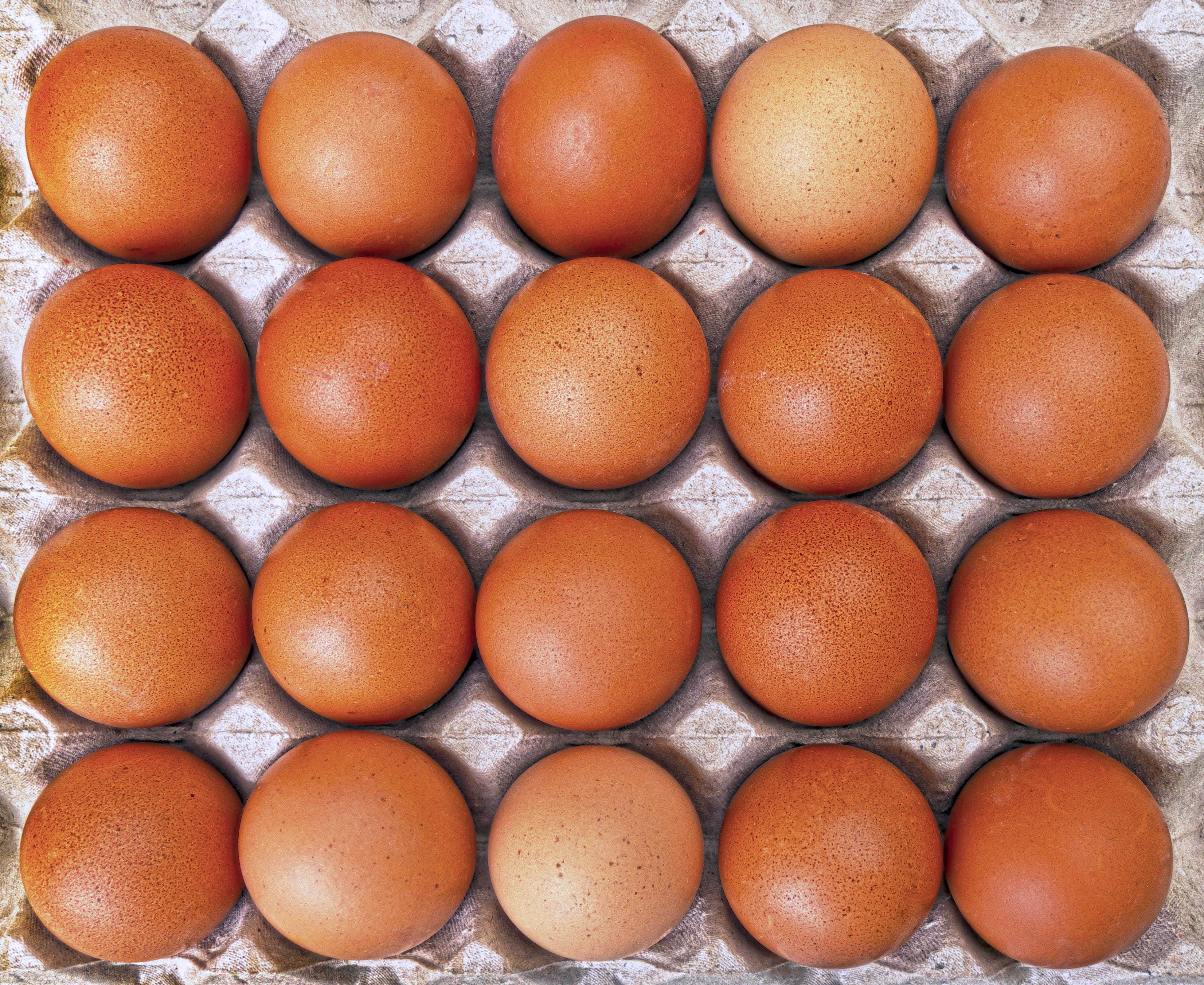 eggs, range eggs, background, food-photography, self-marketing, in a row, market, full frame, geflügelhof, wellbeing, 4K, fragility, nutrition, brown, HD Wallpaper