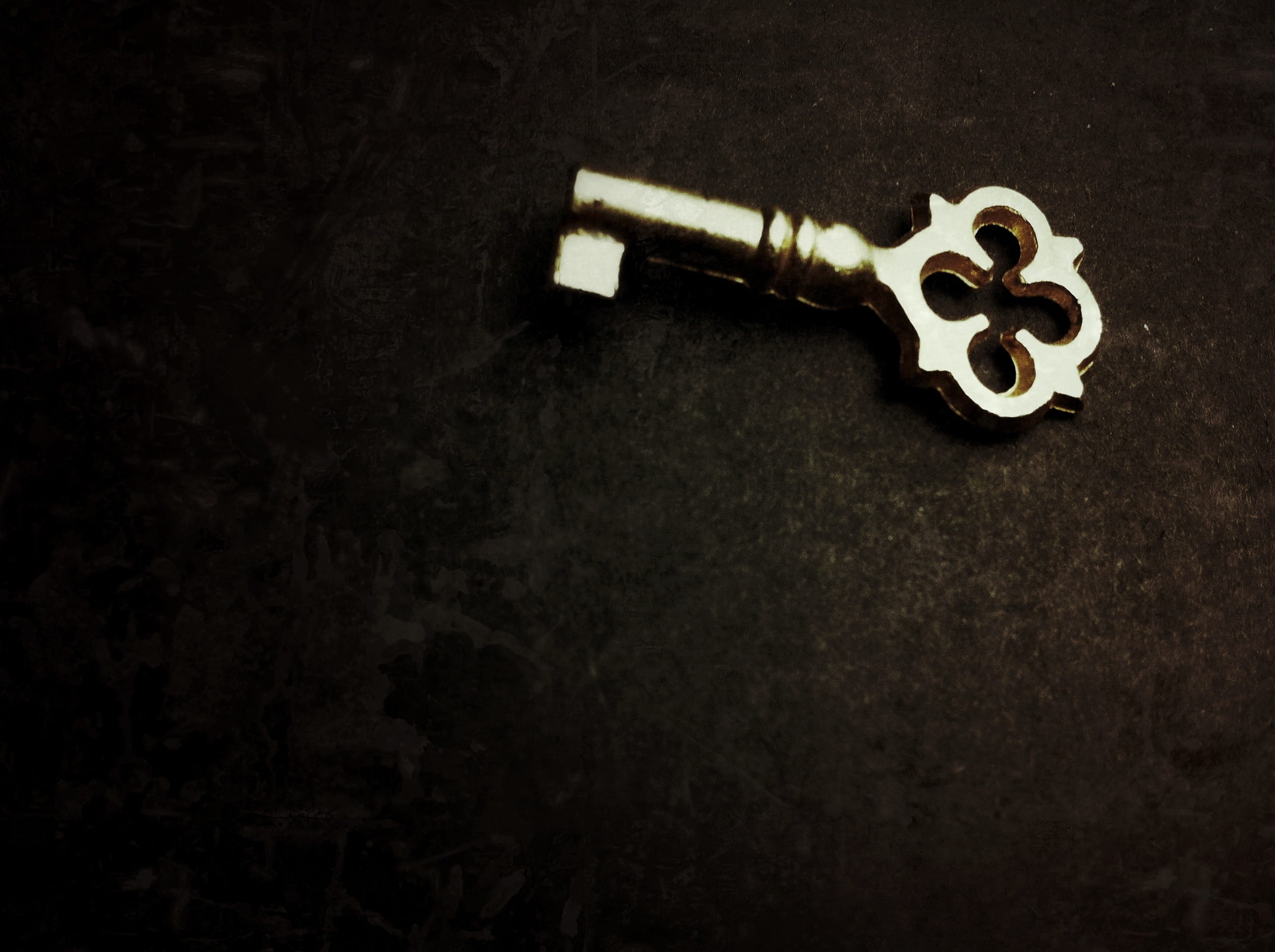 copy space, technology, textured effect, still life, no people, solution, skeleton, indoors, security, gold, safety, latchkey, textured, studio shot, metal, HD Wallpaper