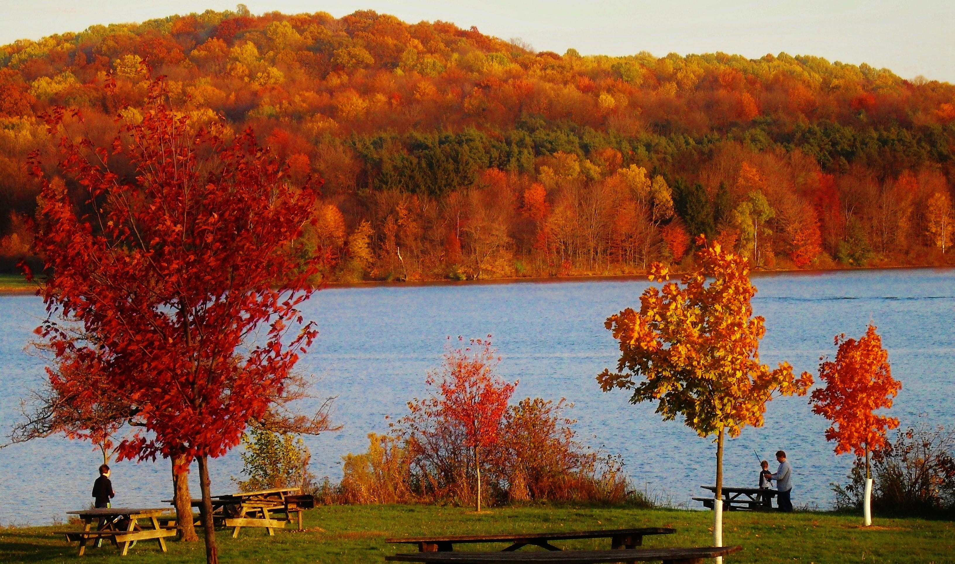 lake, outside, daytime, idyllic, outdoors, standing, shoreline, fall, colorful, scenics - nature, water, trees, orange color, autumn, picnic, land, day, HD Wallpaper