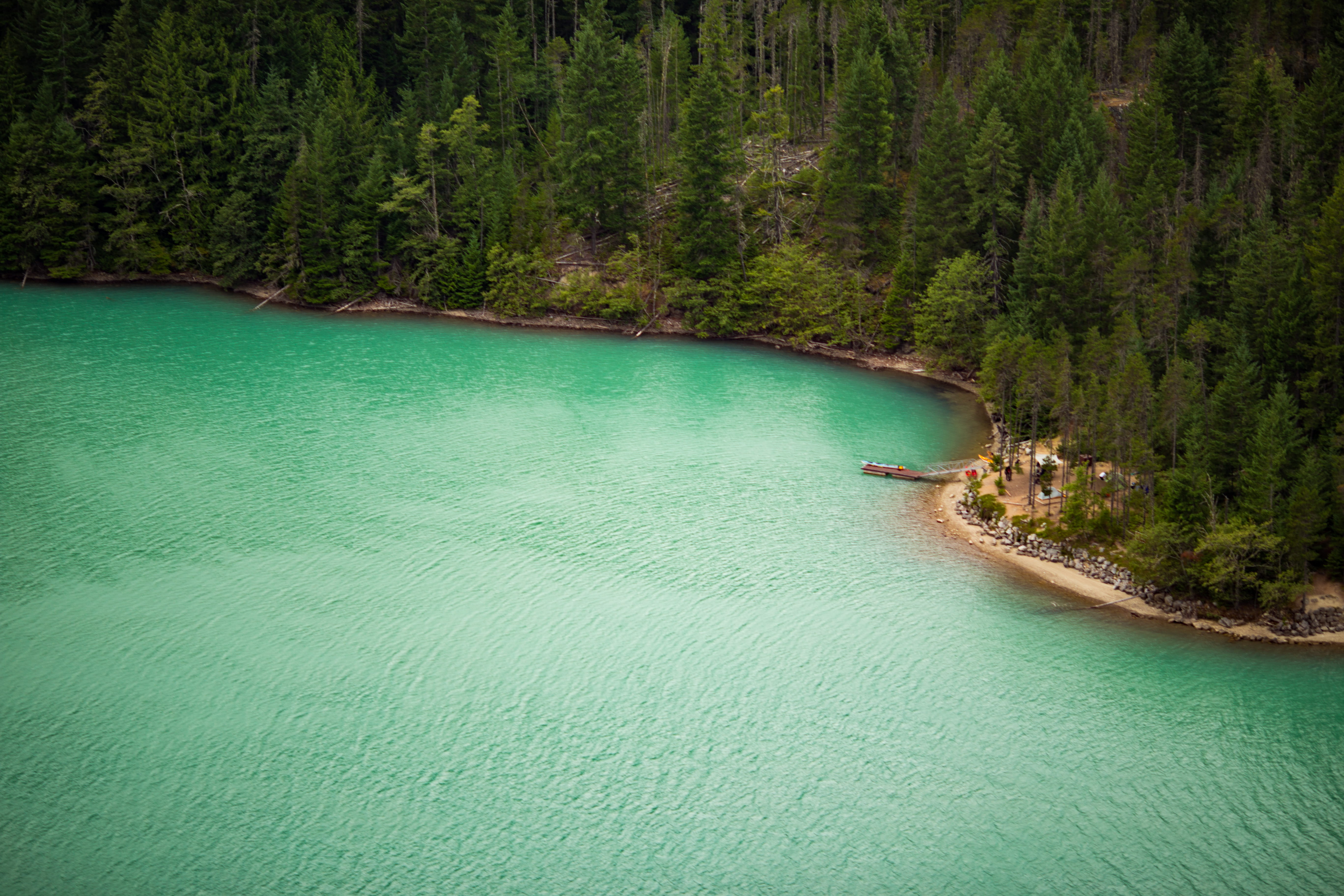 dock, beauty in nature, 5K, nature, next, pine woodland, land, height, trees, outdoors, island, non-urban scene, blue, tree, plant, coniferous tree, idyllic, HD Wallpaper