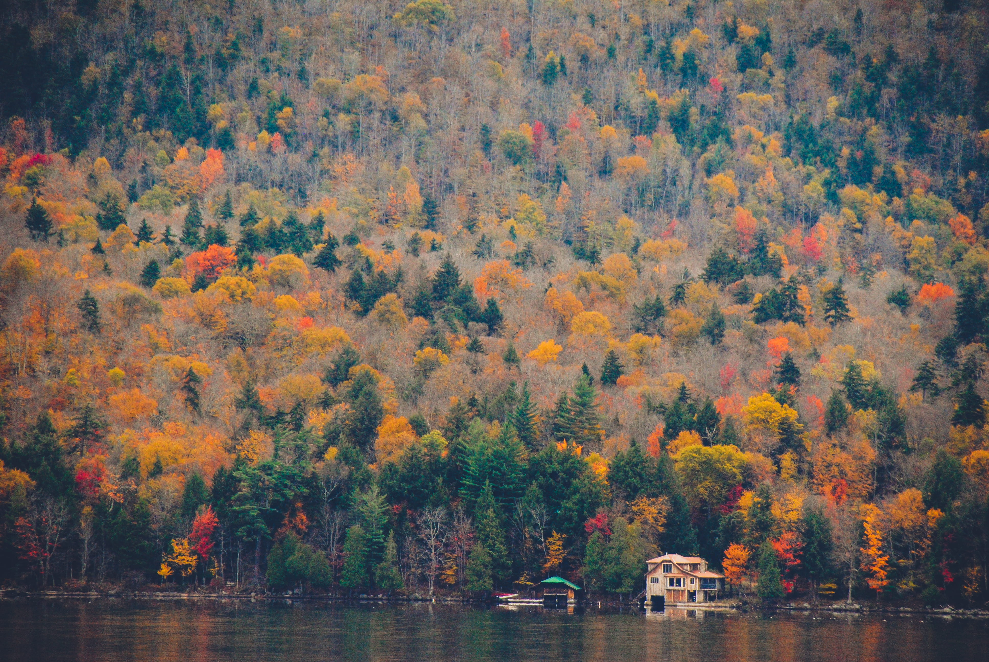 woodland, tranquility, house, photo, daytime, next, red, landscape photography, change, reflection, nautical vessel, leaf, scenics - nature, buildings, HD Wallpaper