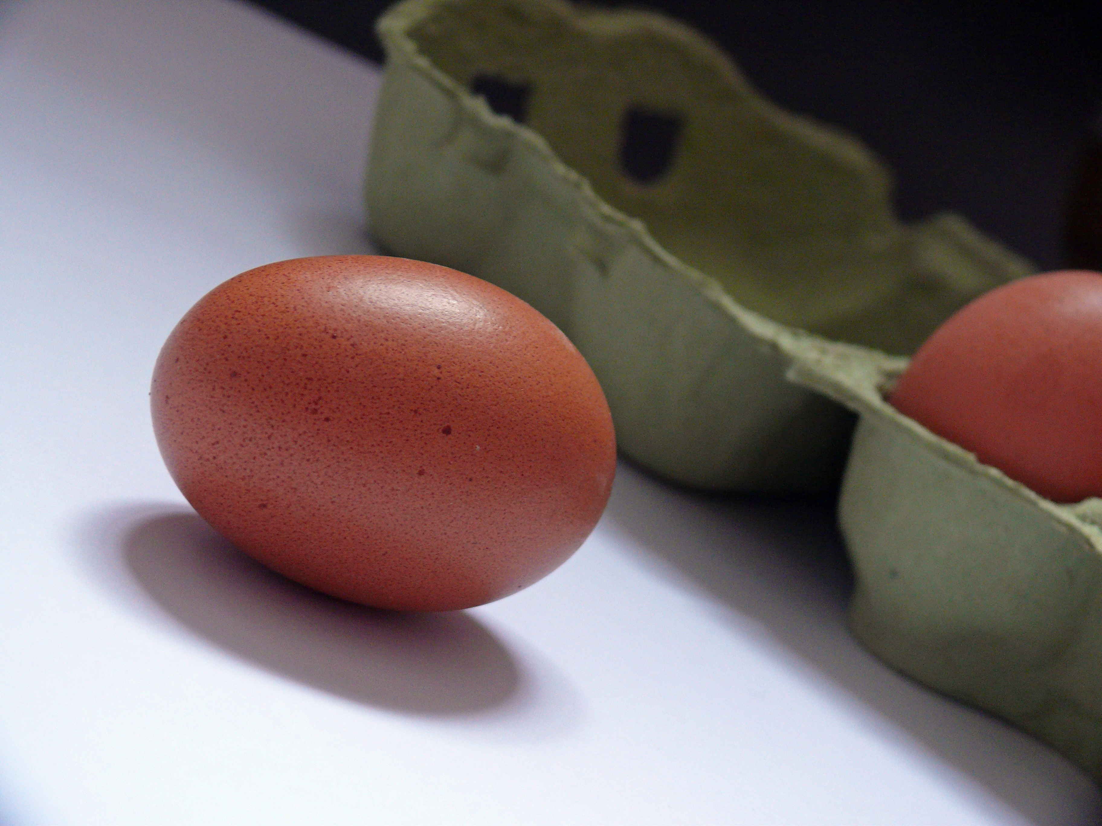 raw eggs, animal egg, 10er pack, brown, egg, healthy eating, egg shells, white color, freshness, raw food, egg carton, chicken eggs, still life, nature, HD Wallpaper