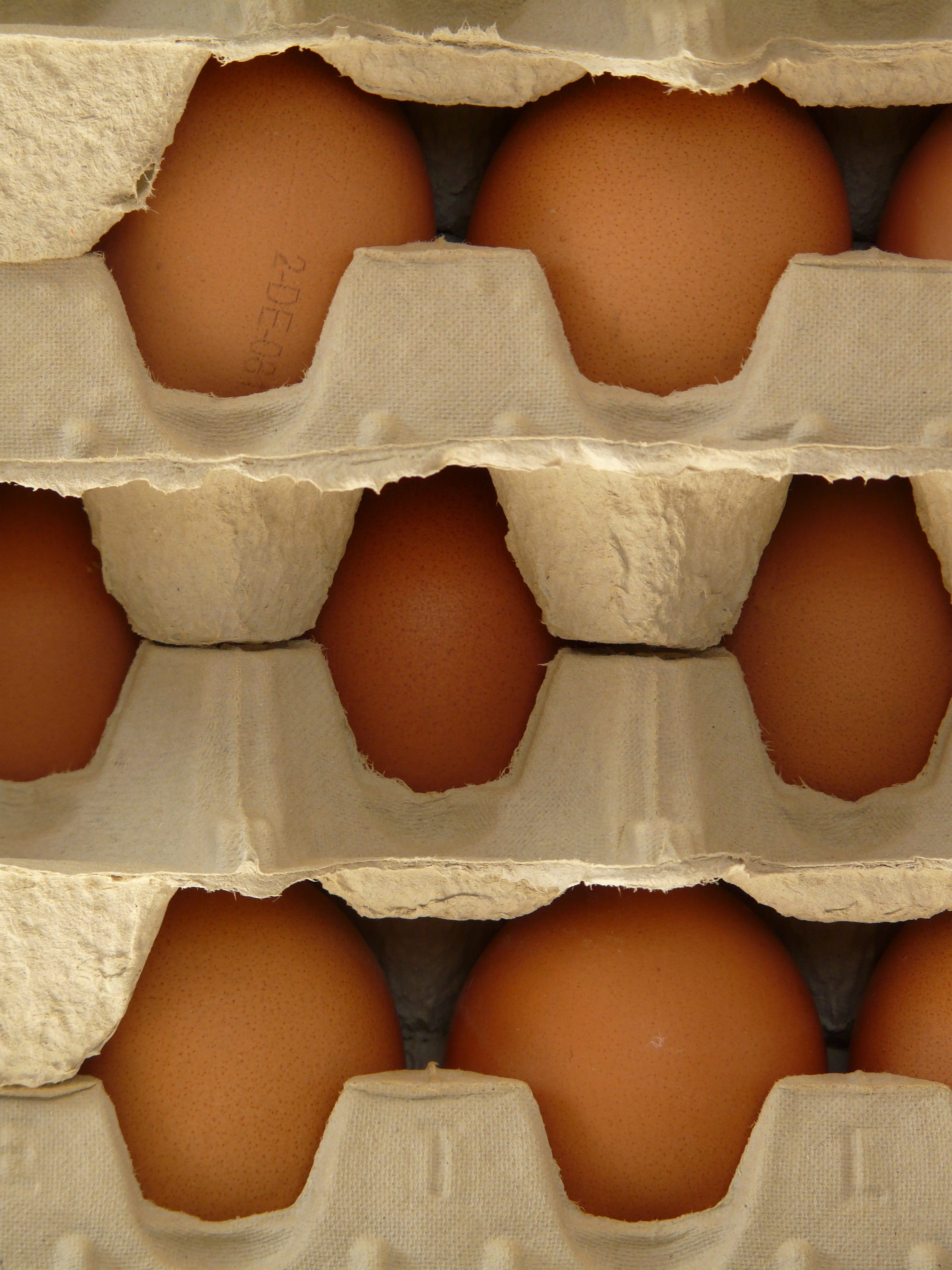 brown, in a row, close-up, still life, cardboard, Food, arrangement, food and drink, Macro, box, wellbeing, retail, Close, egg, full frame, no people, backgrounds, Phone HD Wallpaper