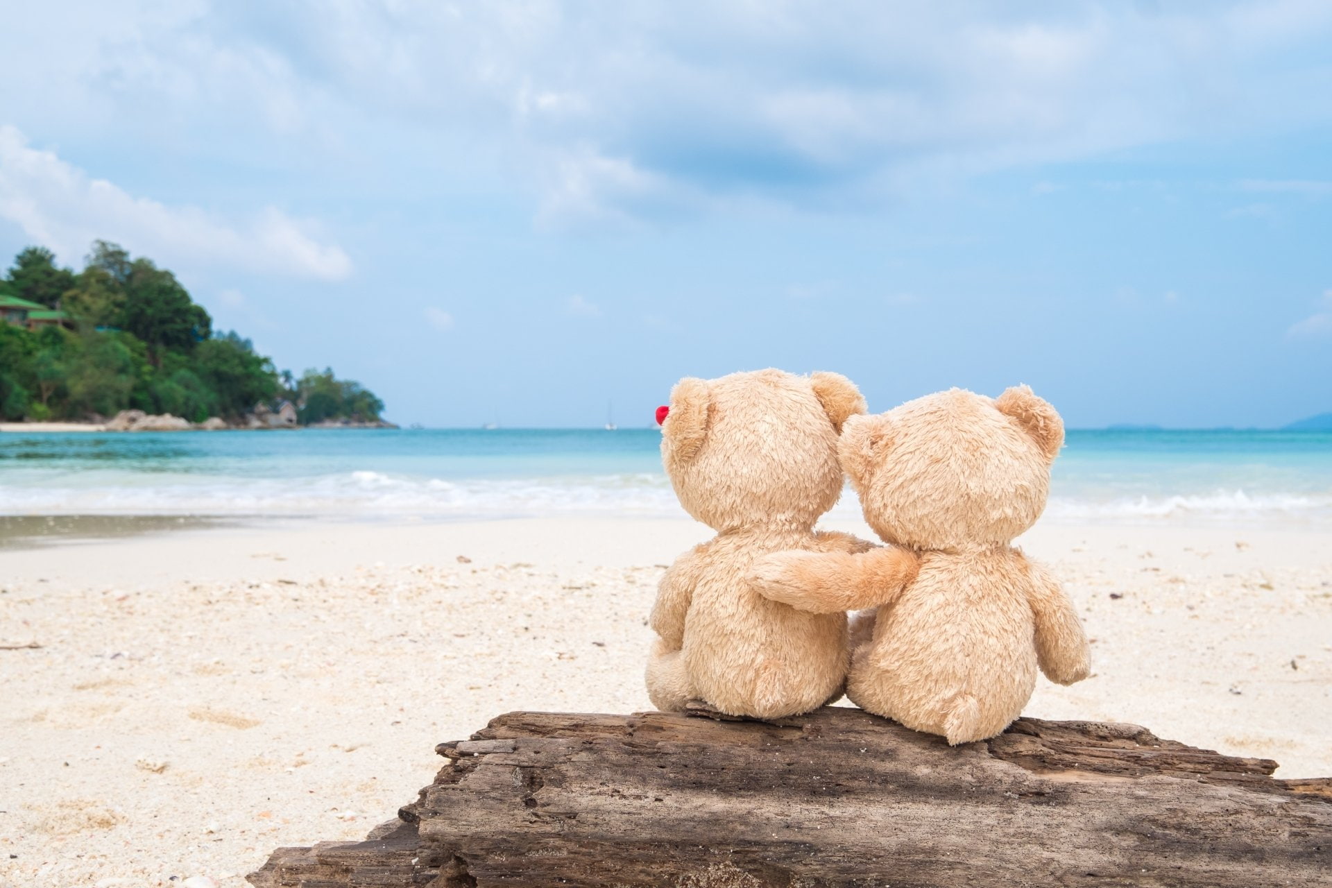 Teddy Bear, beauty in nature, childhood, tranquil scene, water, sand, horizon, horizon over water, sea, nature, sky, scenics - nature, Beach, toy, day, HD Wallpaper