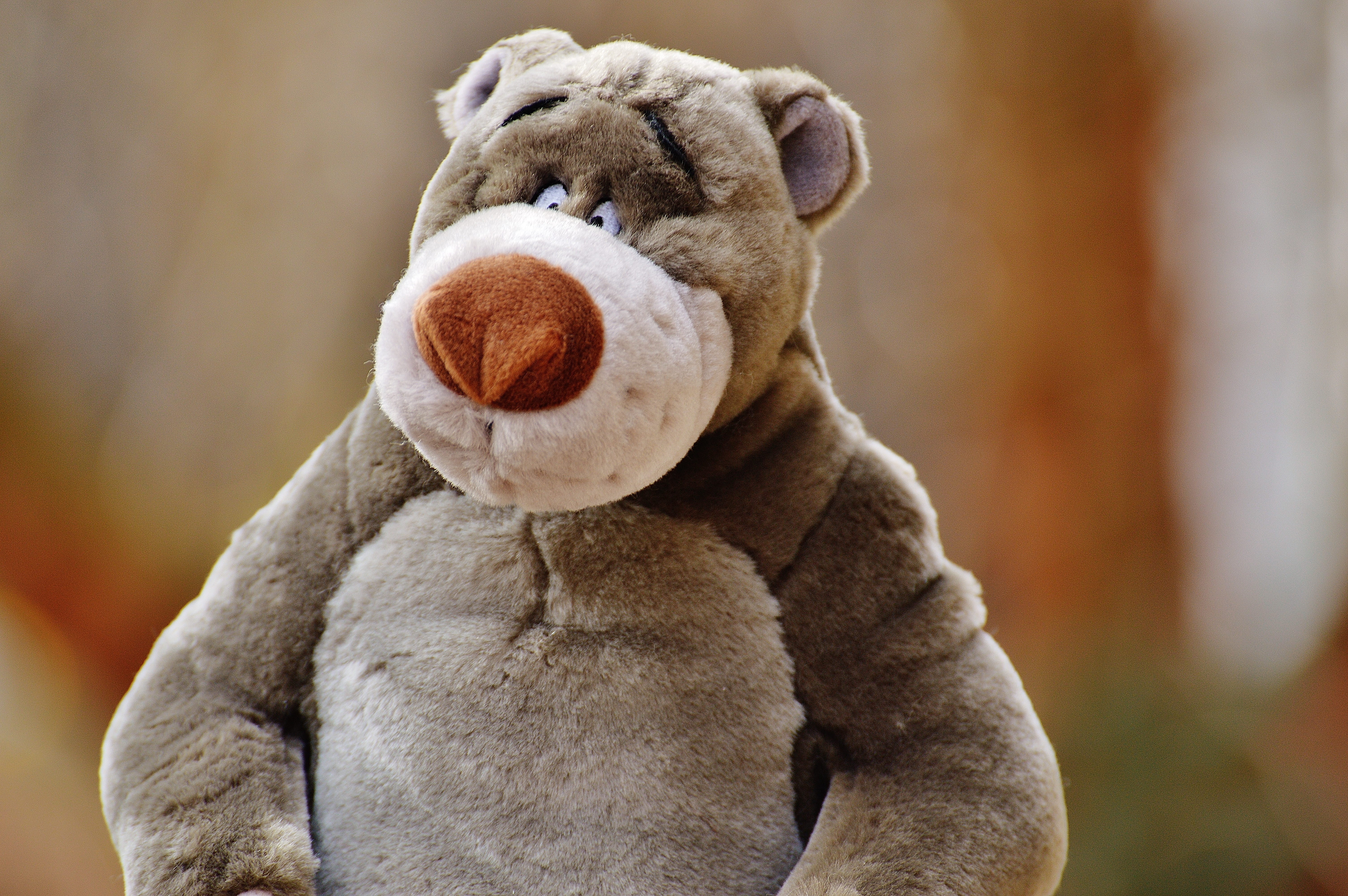 stuffed toy, purry, cute, pets, knuffig, children, bears, animal, toys, dog, domestic, sweet, looking, fur, canine, one animal, domestic animals, bear, HD Wallpaper