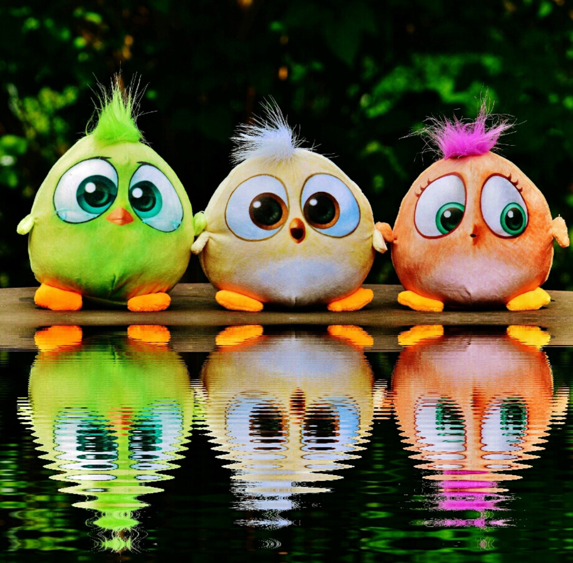 green, lake, bank, outdoors, three, nature, collection, birds, plush, reflection, representation, celebration, side by side, birdie, multi colored, yellow, HD Wallpaper