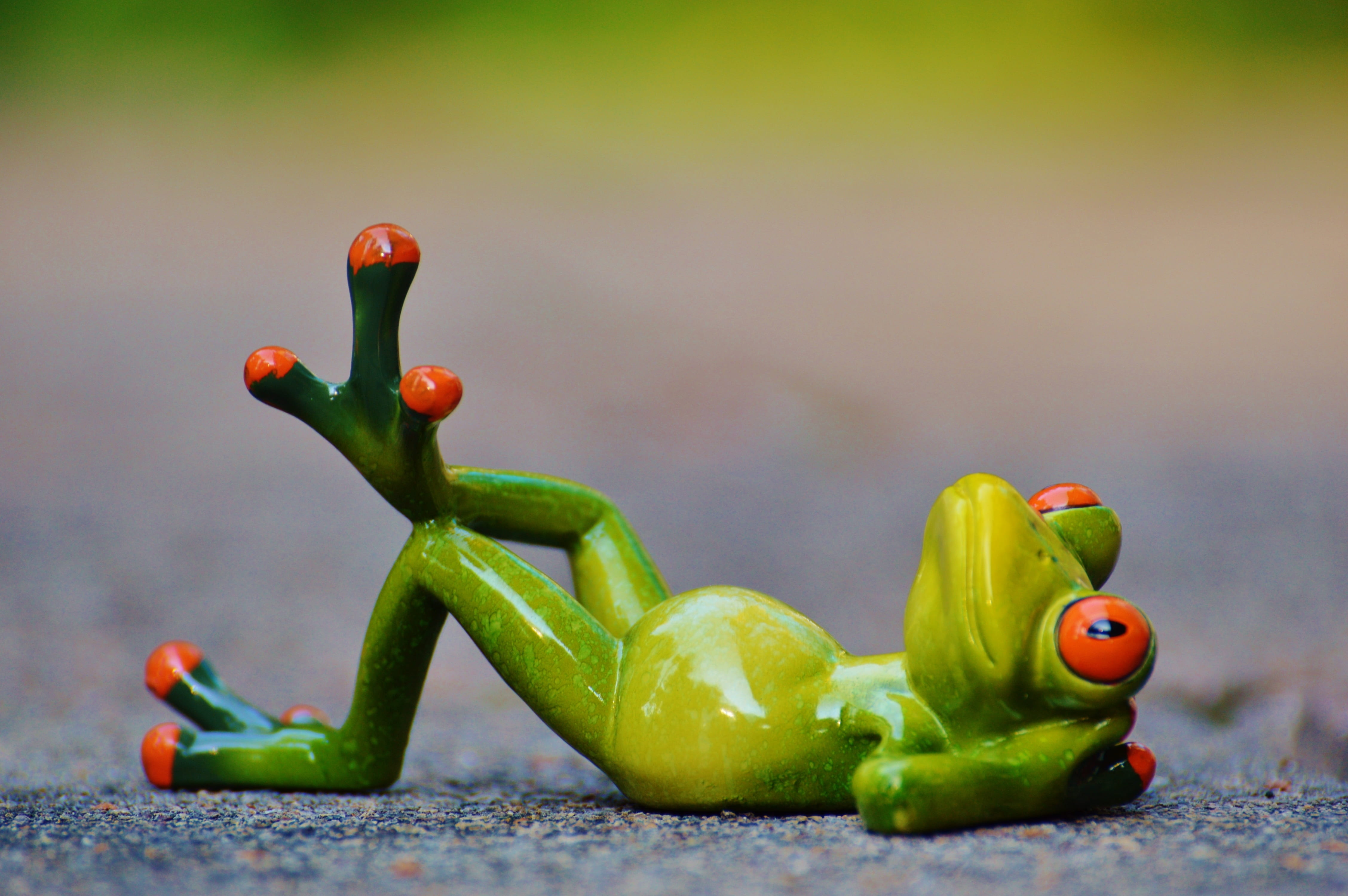 close-up, toy, lying, 4K, relaxed, sweet, orange, freshness, pepper, no people, chili pepper, food, frog, spice, close, animal, nature, healthy eating, HD Wallpaper