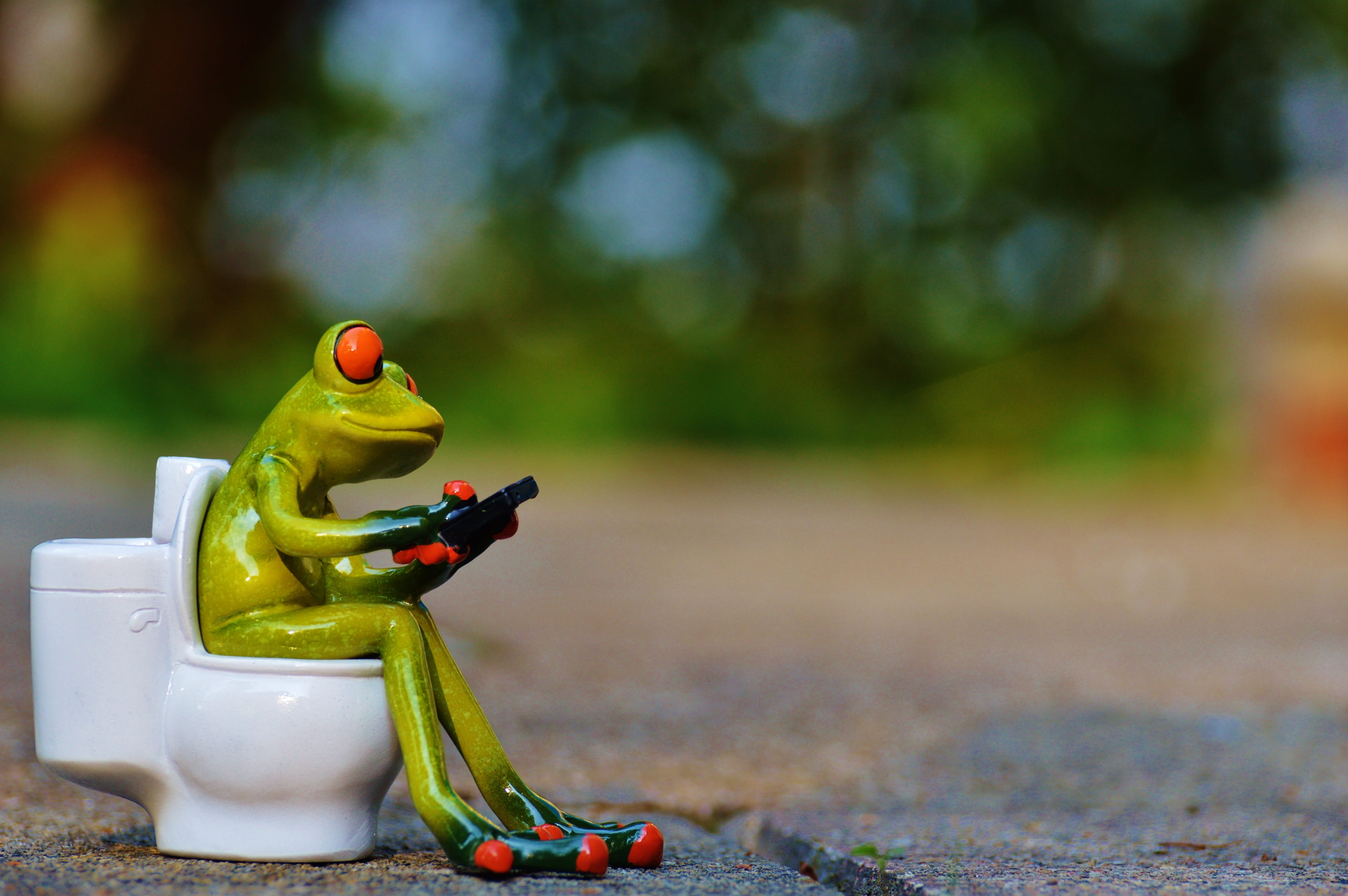still life, frog, toilet, wc, figurine, image, tree, plastic, day, toy car, animal, transportation, session, focus on foreground, green, art and craft, HD Wallpaper