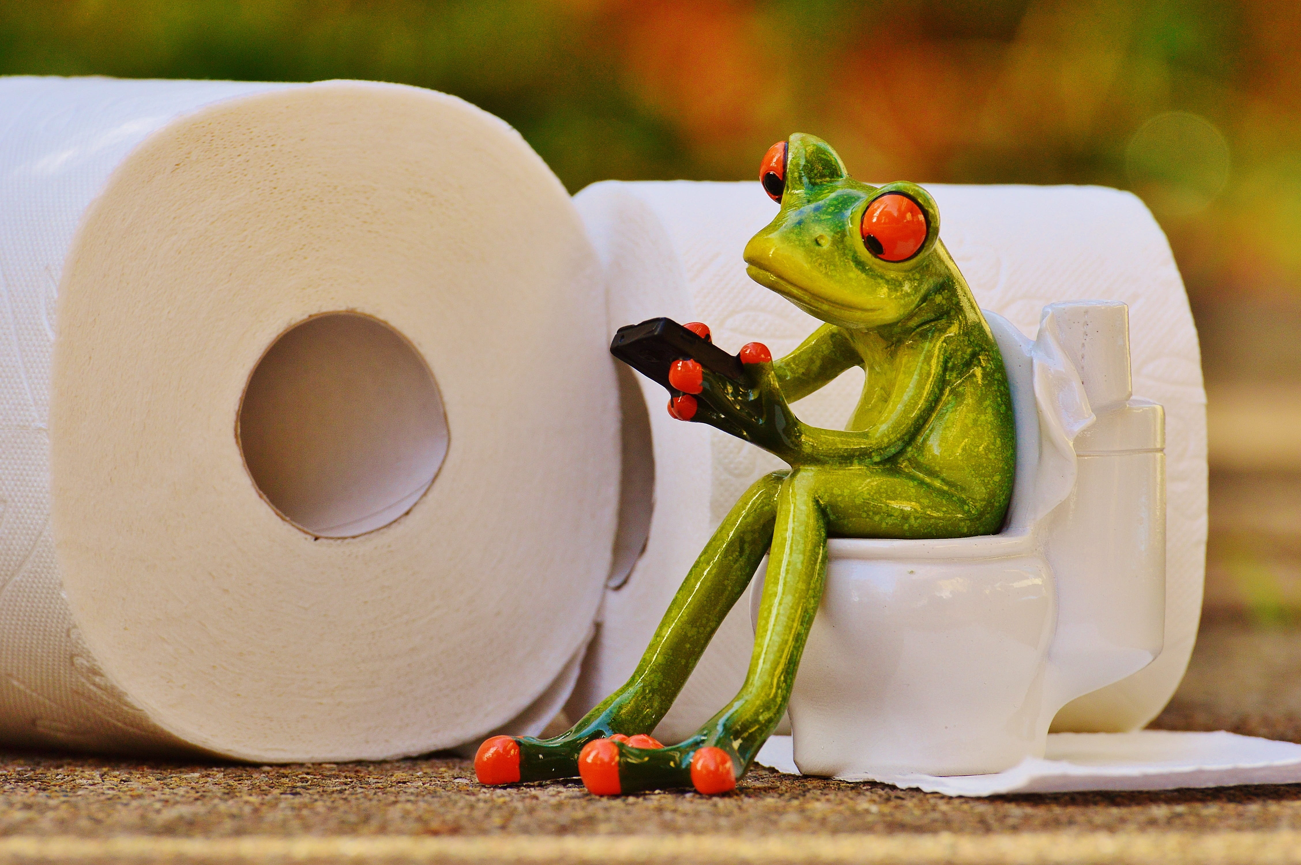 mobile phone, photography, day, 4K, toilet paper, green, no people, focus, close-up, freshness, sport, healthy eating, art and craft, vegetable, toy, figurine, HD Wallpaper