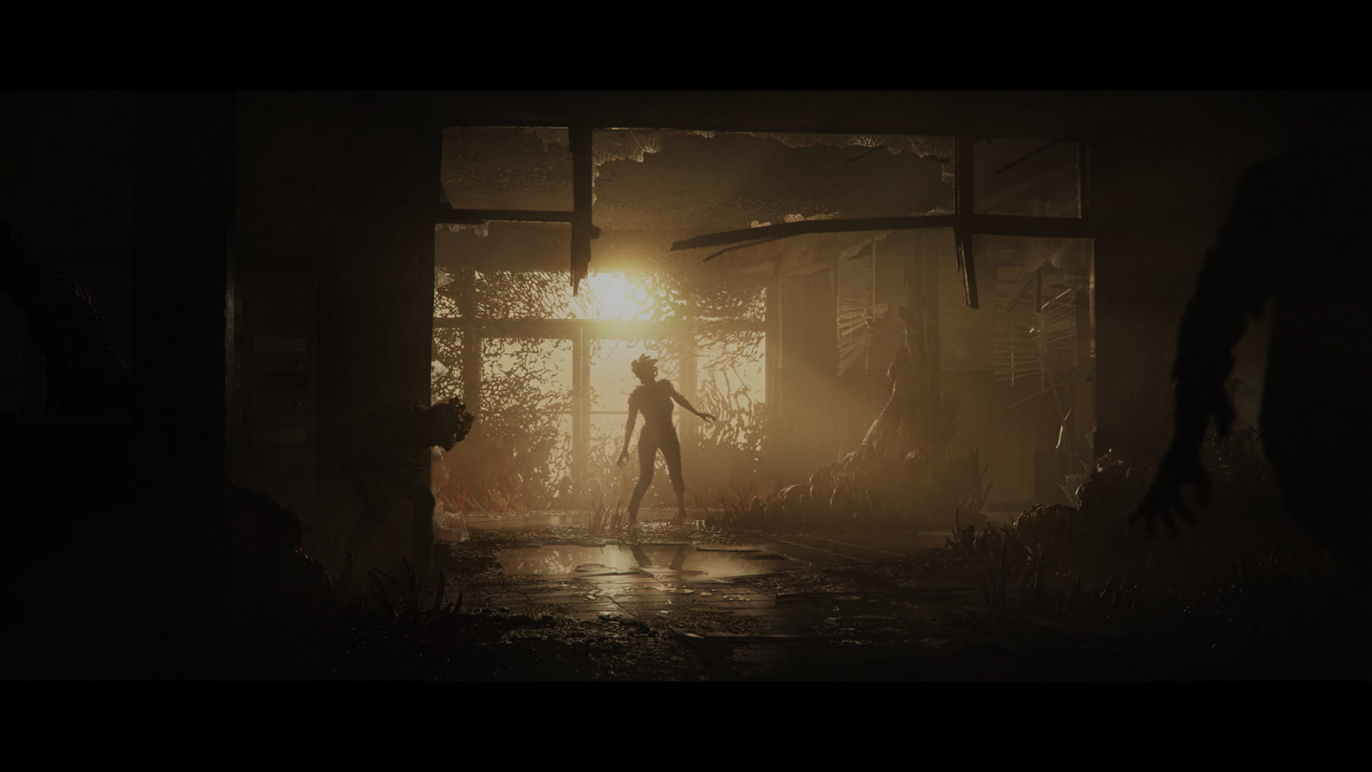 PlayStation 4, The Last of Us, artwork, Naughty Dog, post apocalypse, The Last of Us 2, 1080P, video games, creature, HD Wallpaper