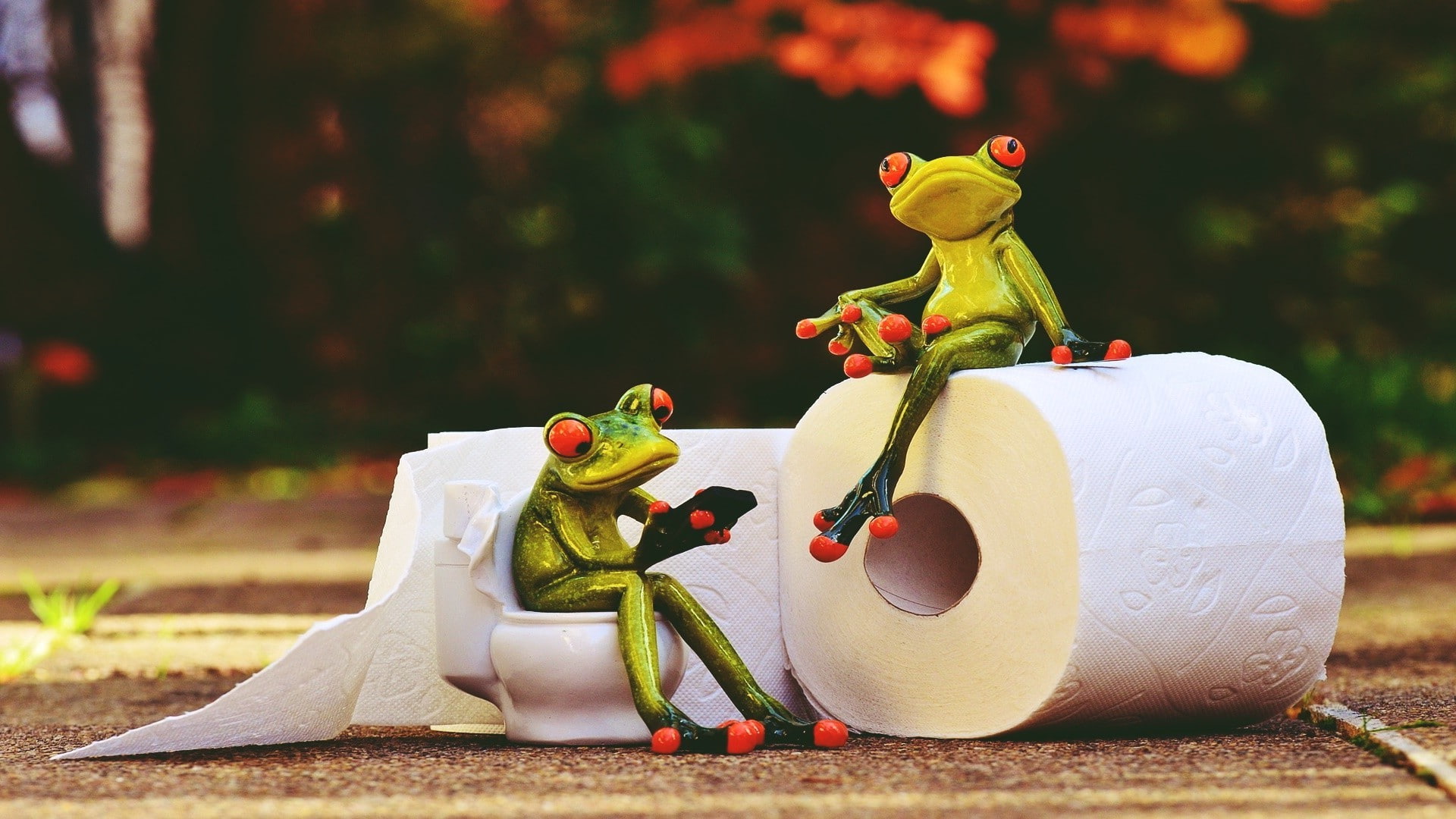 Toilet Paper, situation, vintage, animals, 1080P, frog, Retro style, HD Wallpaper