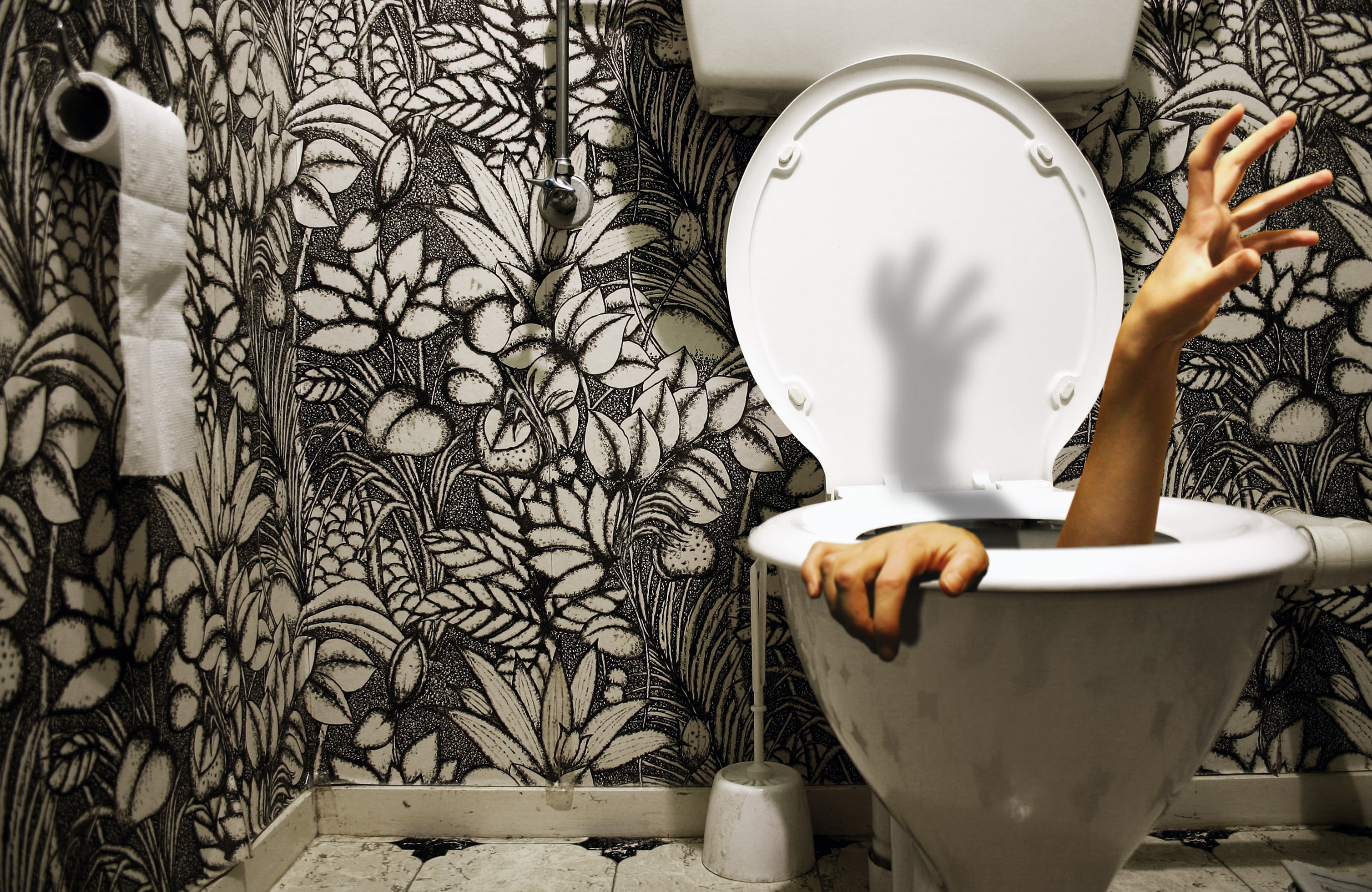 2K, hand, the plunger, lost, the toilet, in the toilet, paper, HD Wallpaper