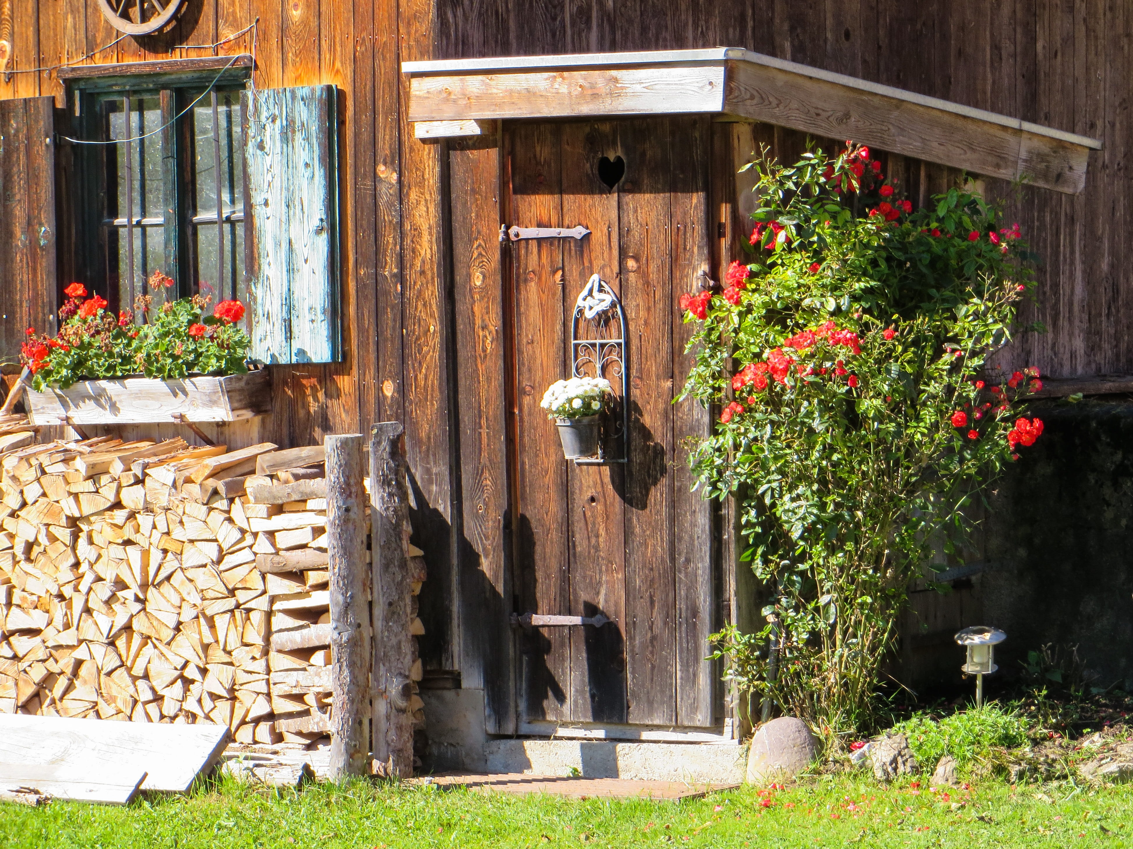 day, flower, toilettenhaus, front or back yard, Toilet, building, architecture, door, residential Building, Wc, plant, window, no People, wood - Material, HD Wallpaper