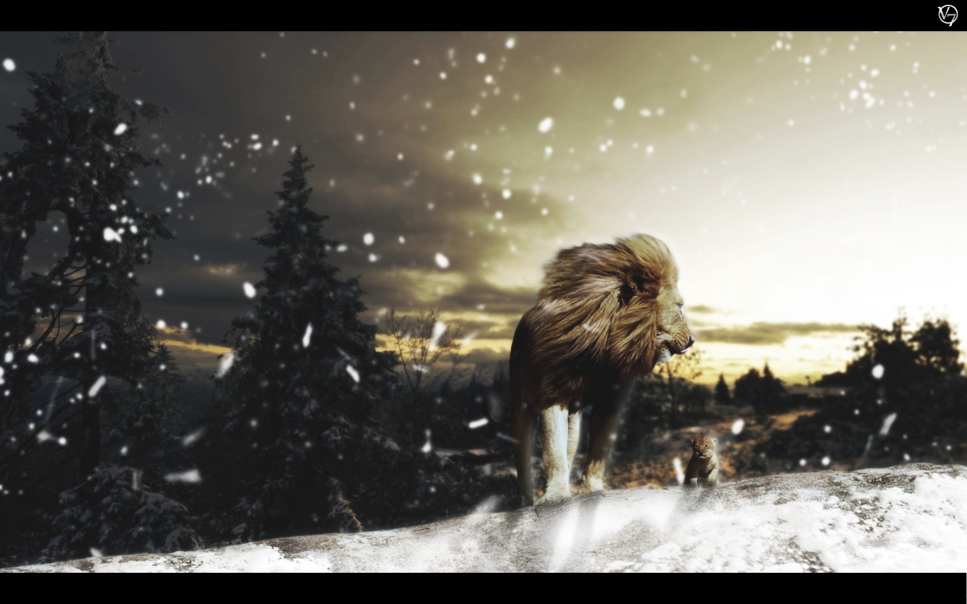 domestic animals, mammal, motion, animals, snow, auto post production filter, tree, one animal, warm clothing, holiday, transfer print, 1080P, domestic, HD Wallpaper